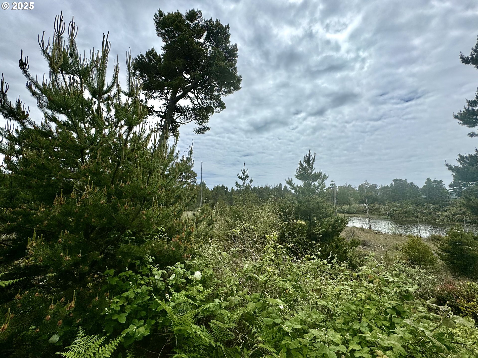 Lake Point DR 23 UNIT 23, Florence, OR, 97439