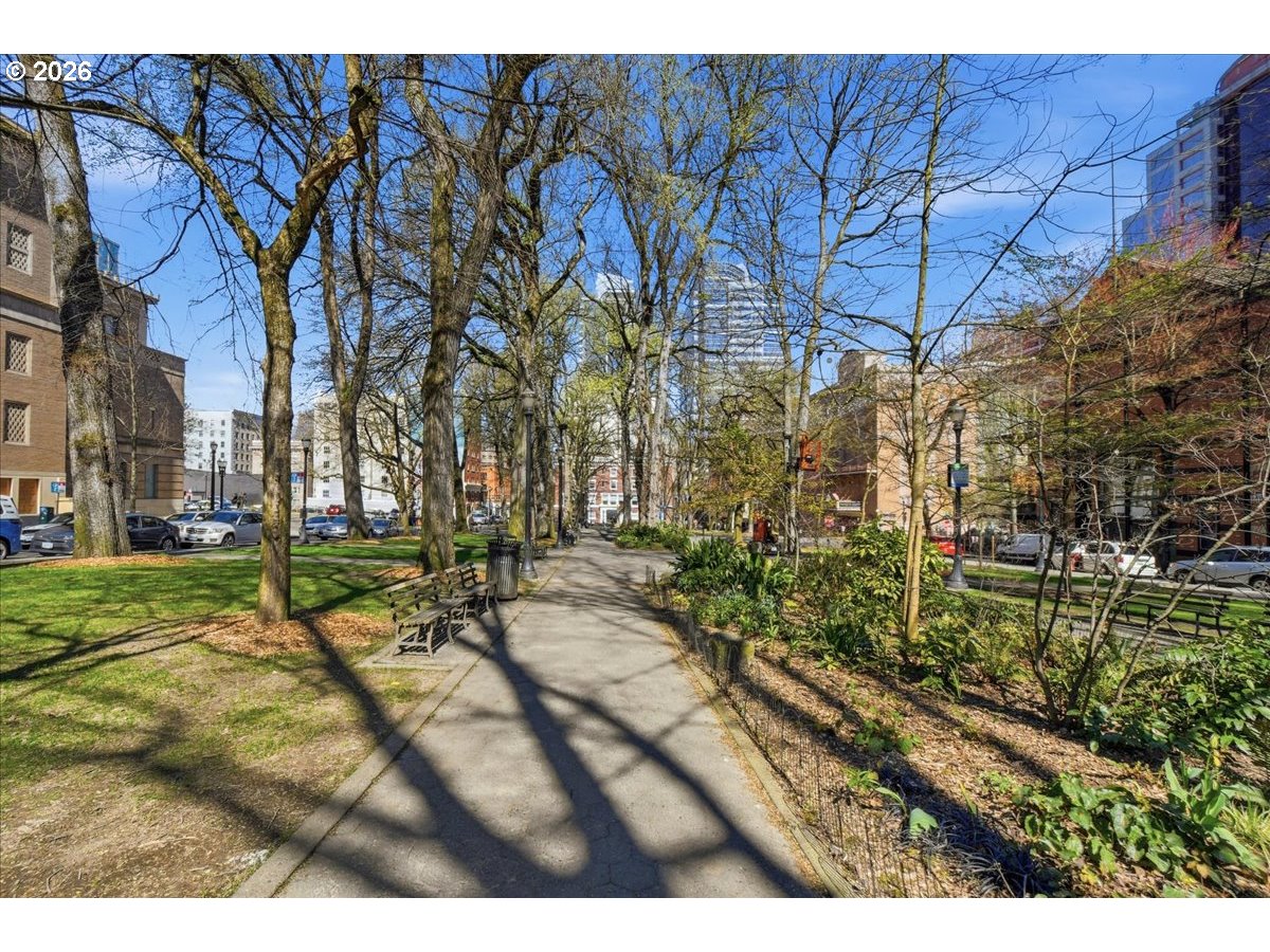 Photo #36: 270201339 Listing: Photo #36