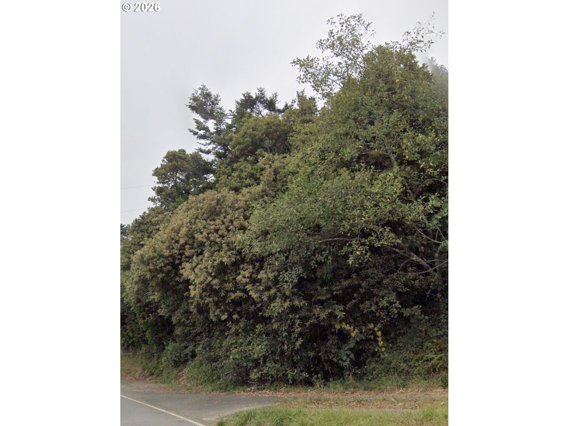 7771 ZOE DR, Brookings, OR, 97415
