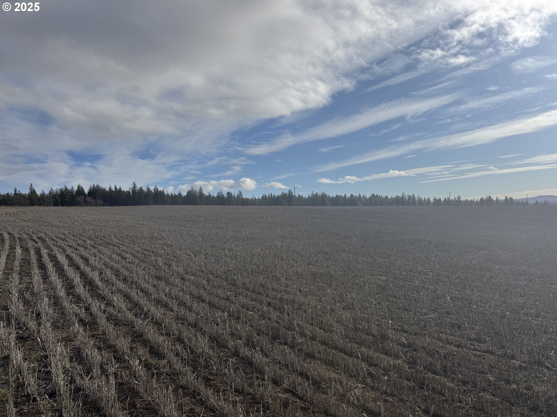 Search Homes for Sale