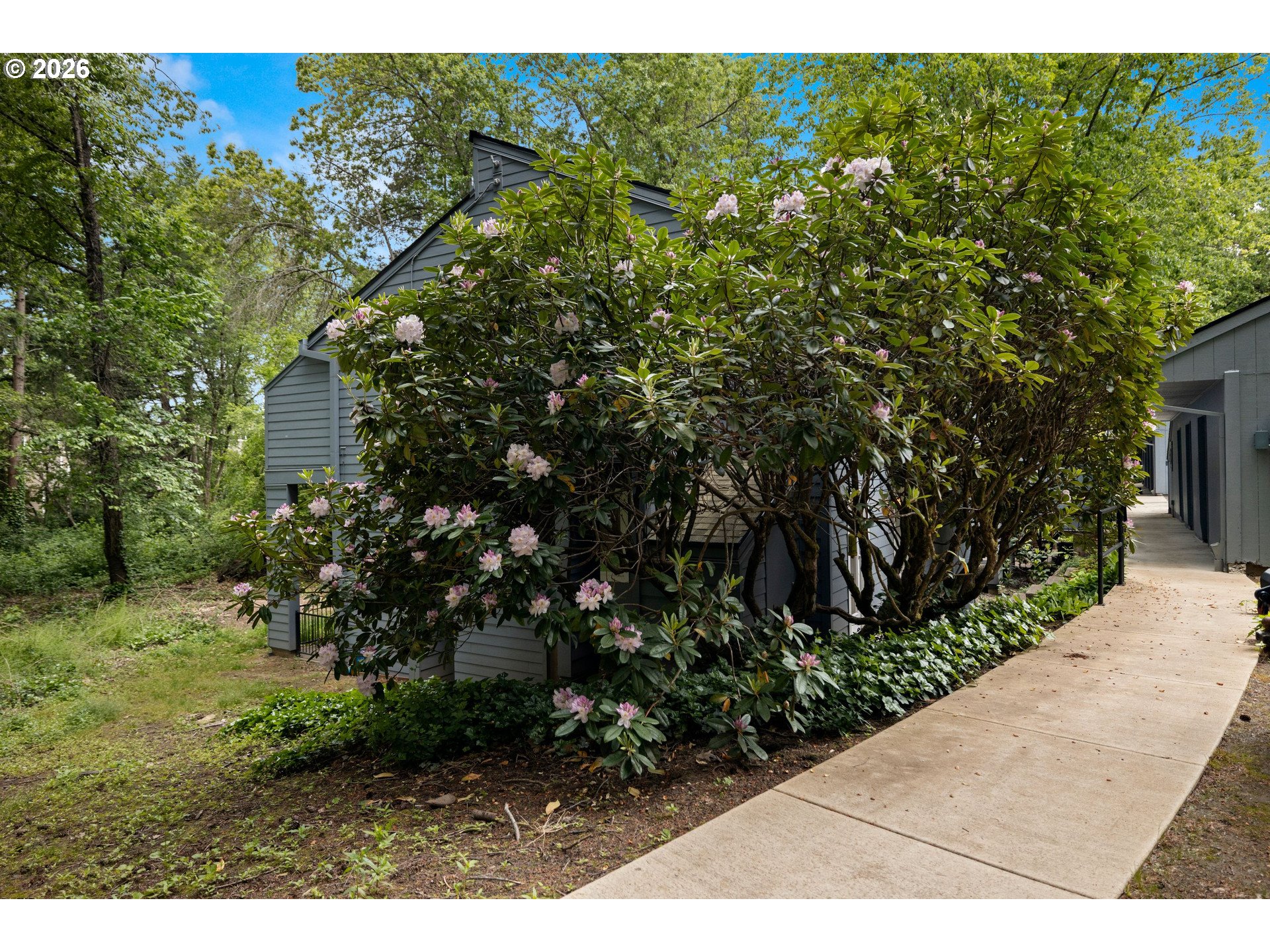 Photo #9: 276443597 Listing: Photo #9