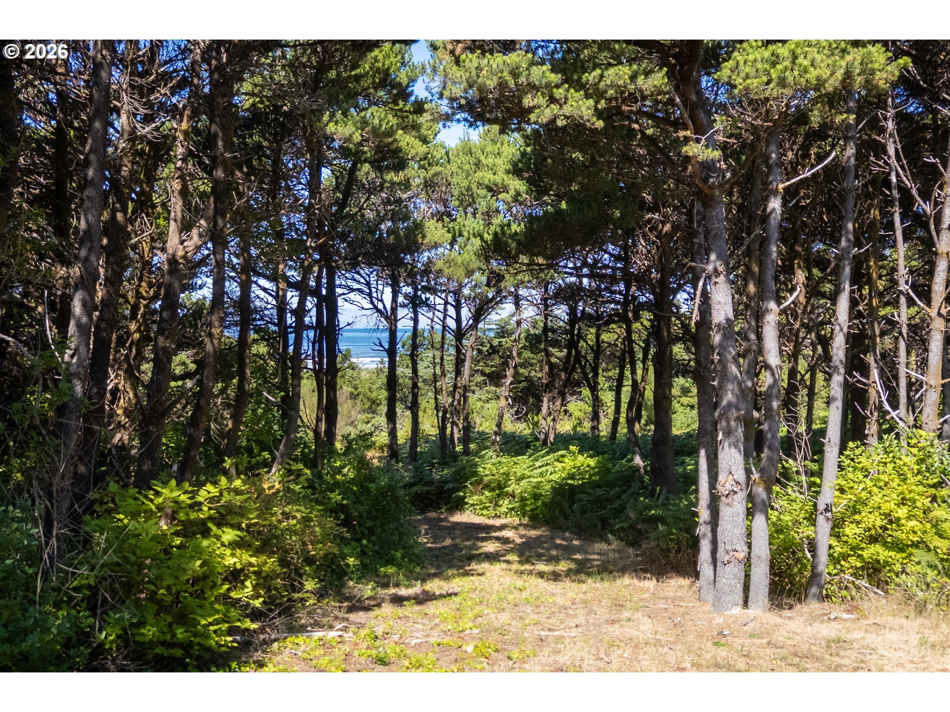 6770 SW Pacific Coast Hwy