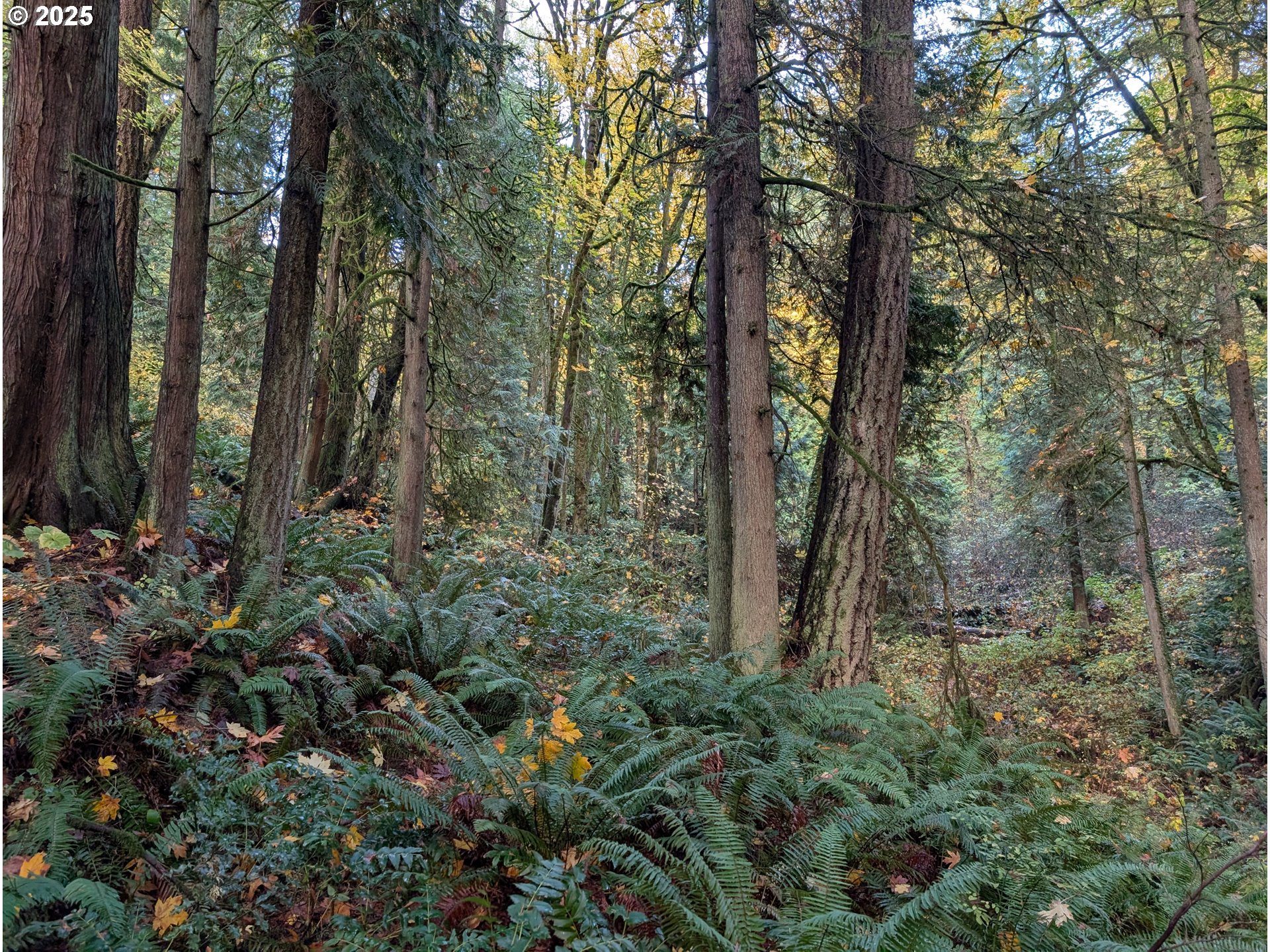 Search Homes for Sale