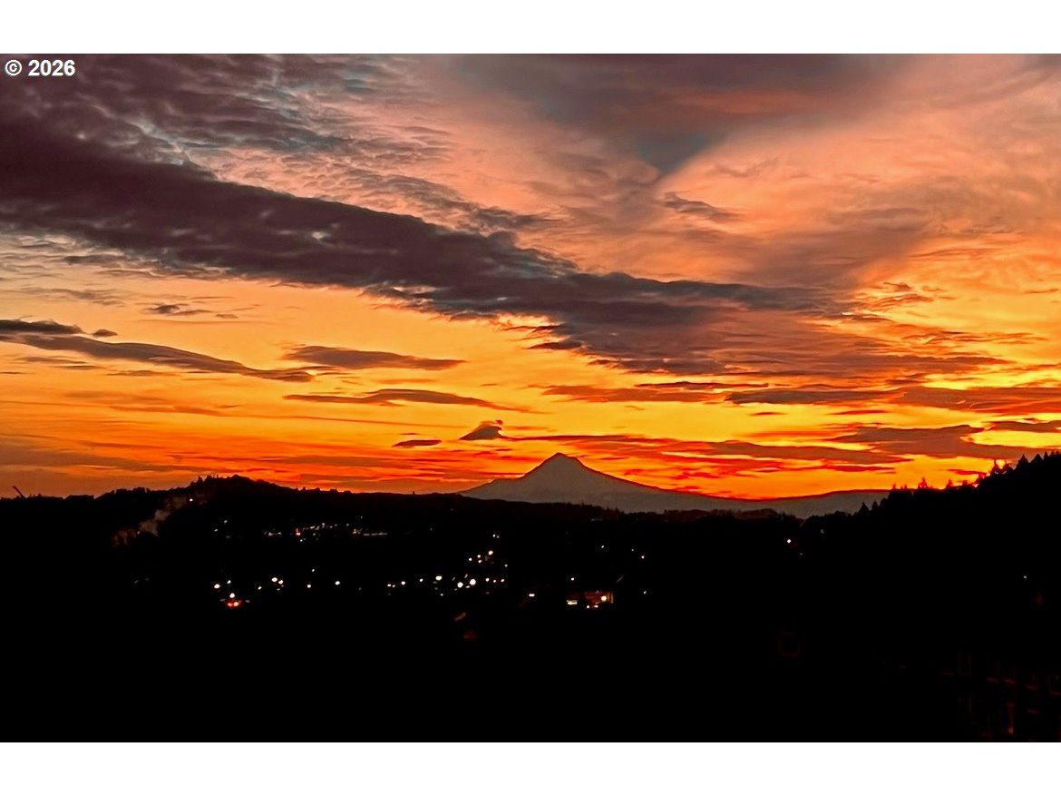 Photo #44: 284221248 Listing: Photo #44