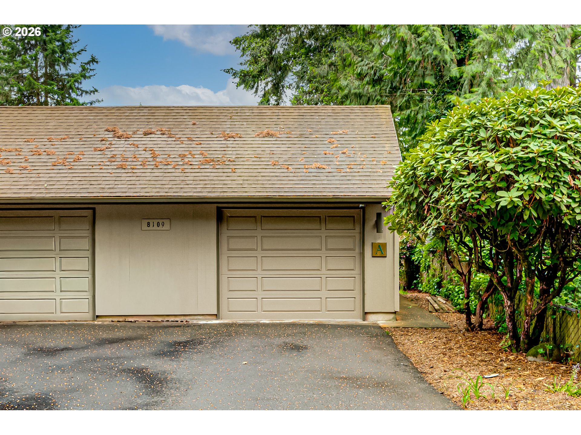 Photo #13: 284233749 Listing: Photo #13