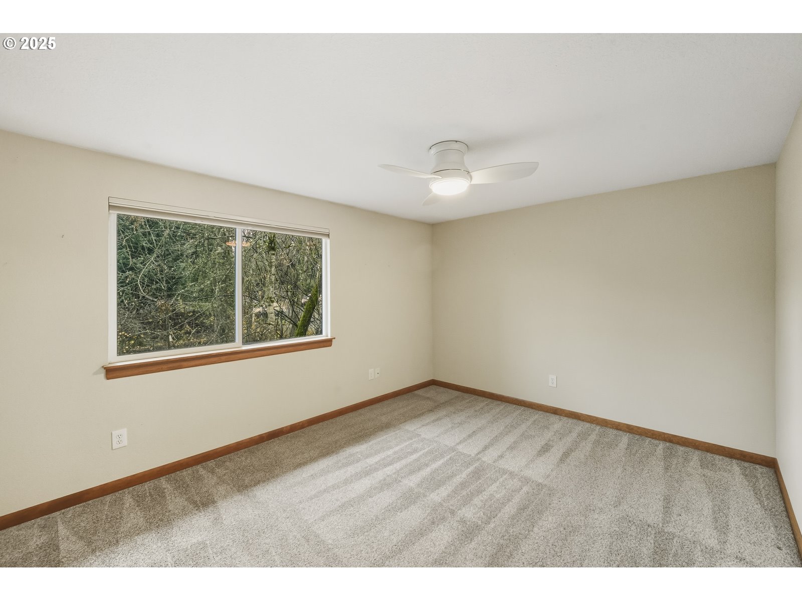 Photo #11: 284949120 Listing: Photo #11