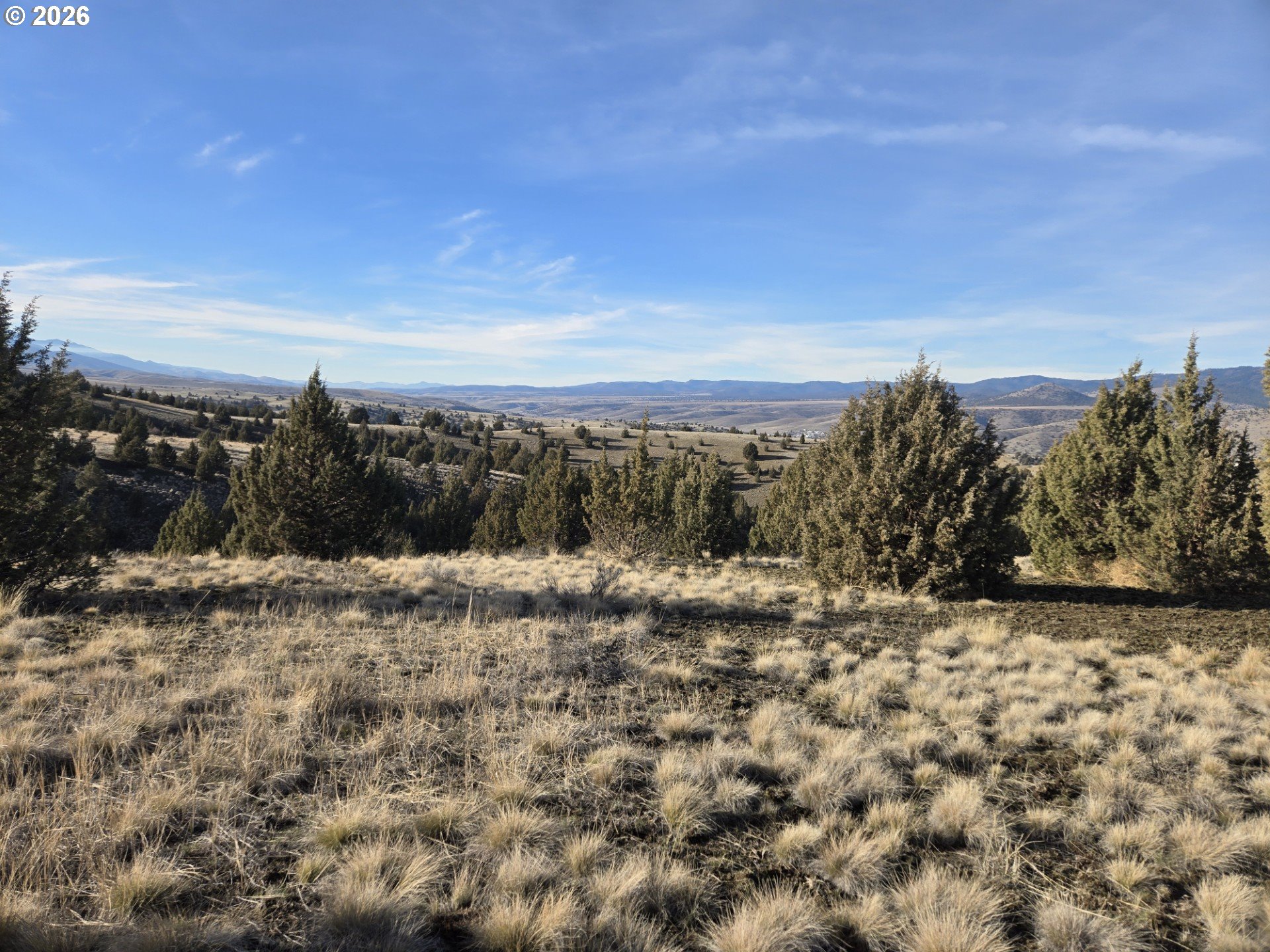 Search Homes for Sale