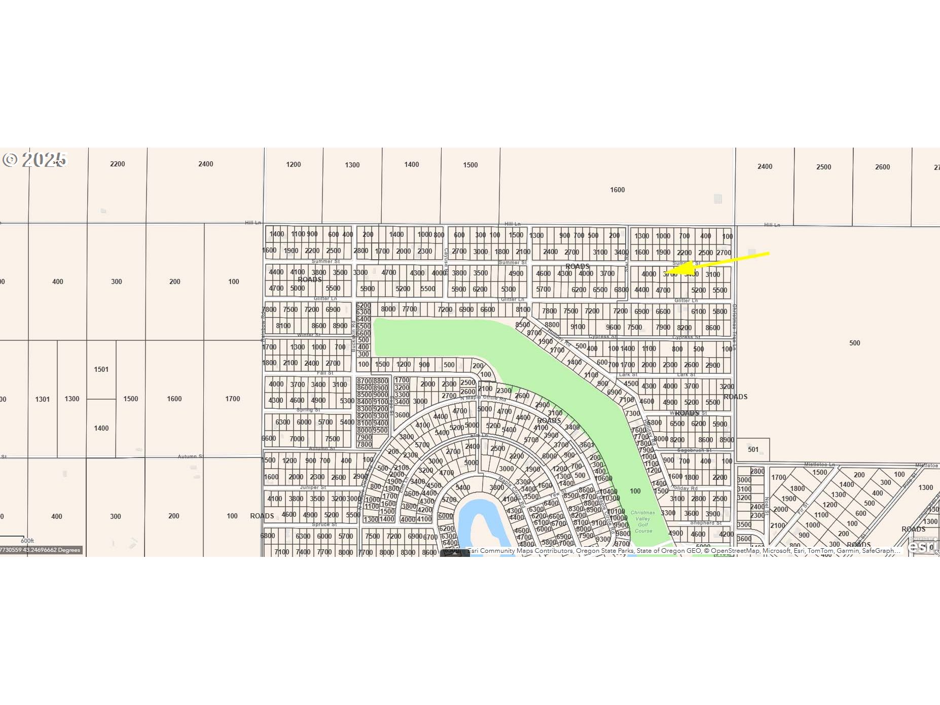 Summer ST 3800 UNIT 3800, Christmas Valley, OR, 97641