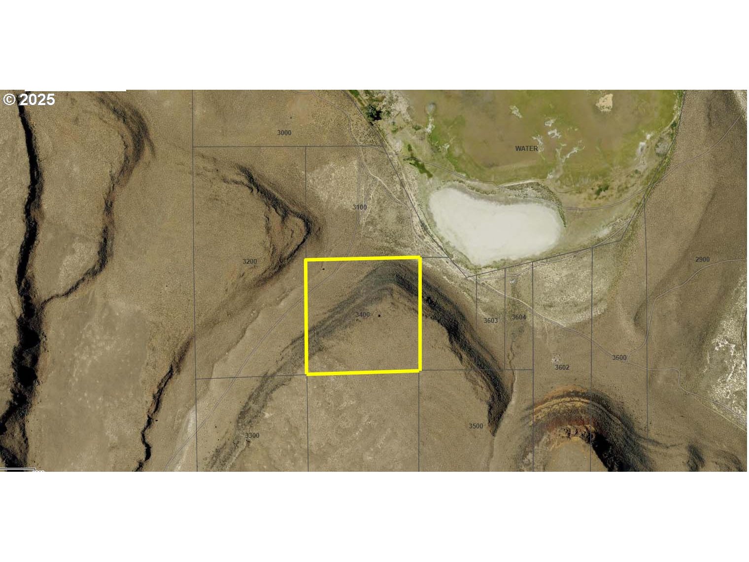 Search Homes for Sale