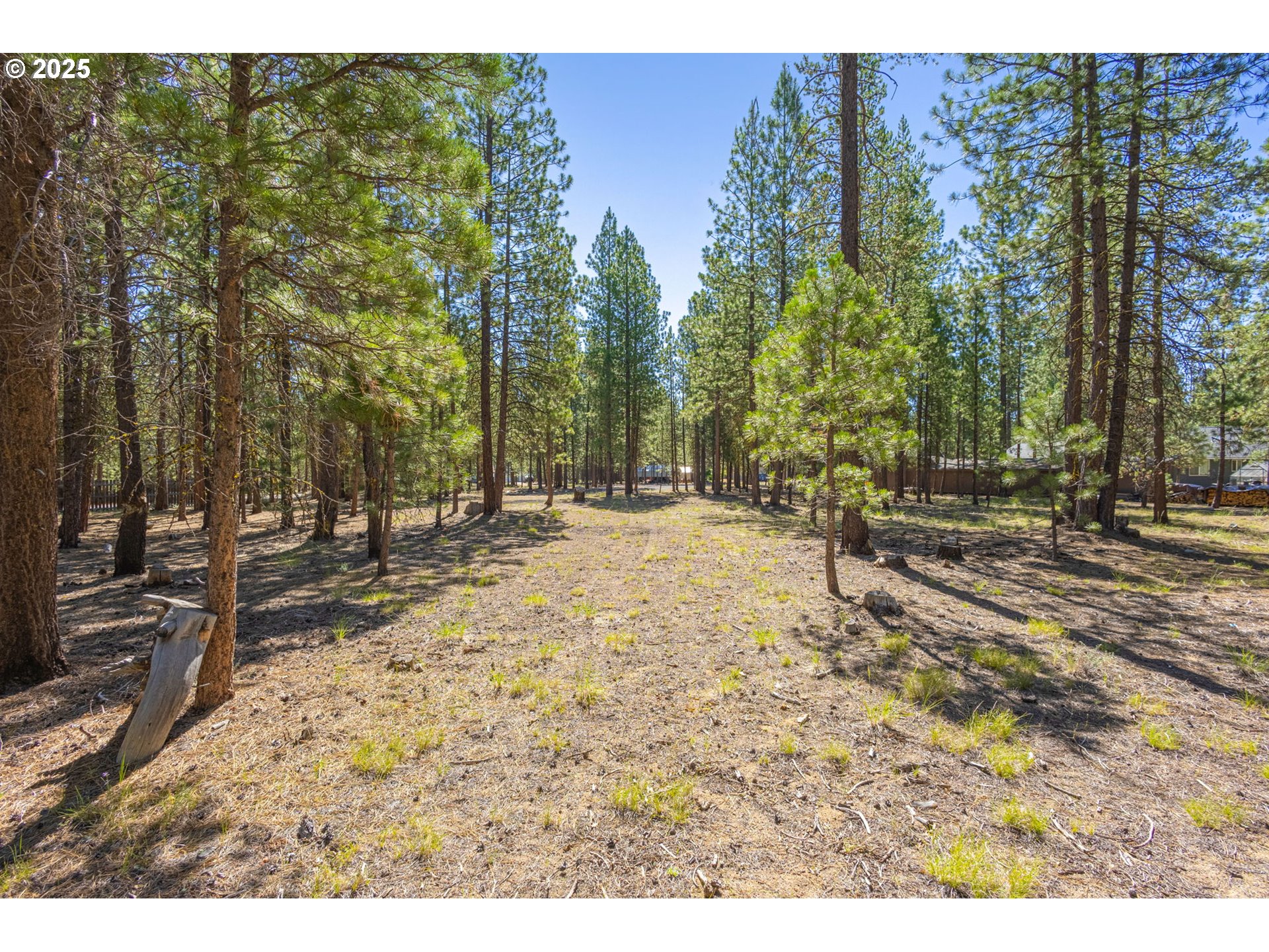 Search Homes for Sale