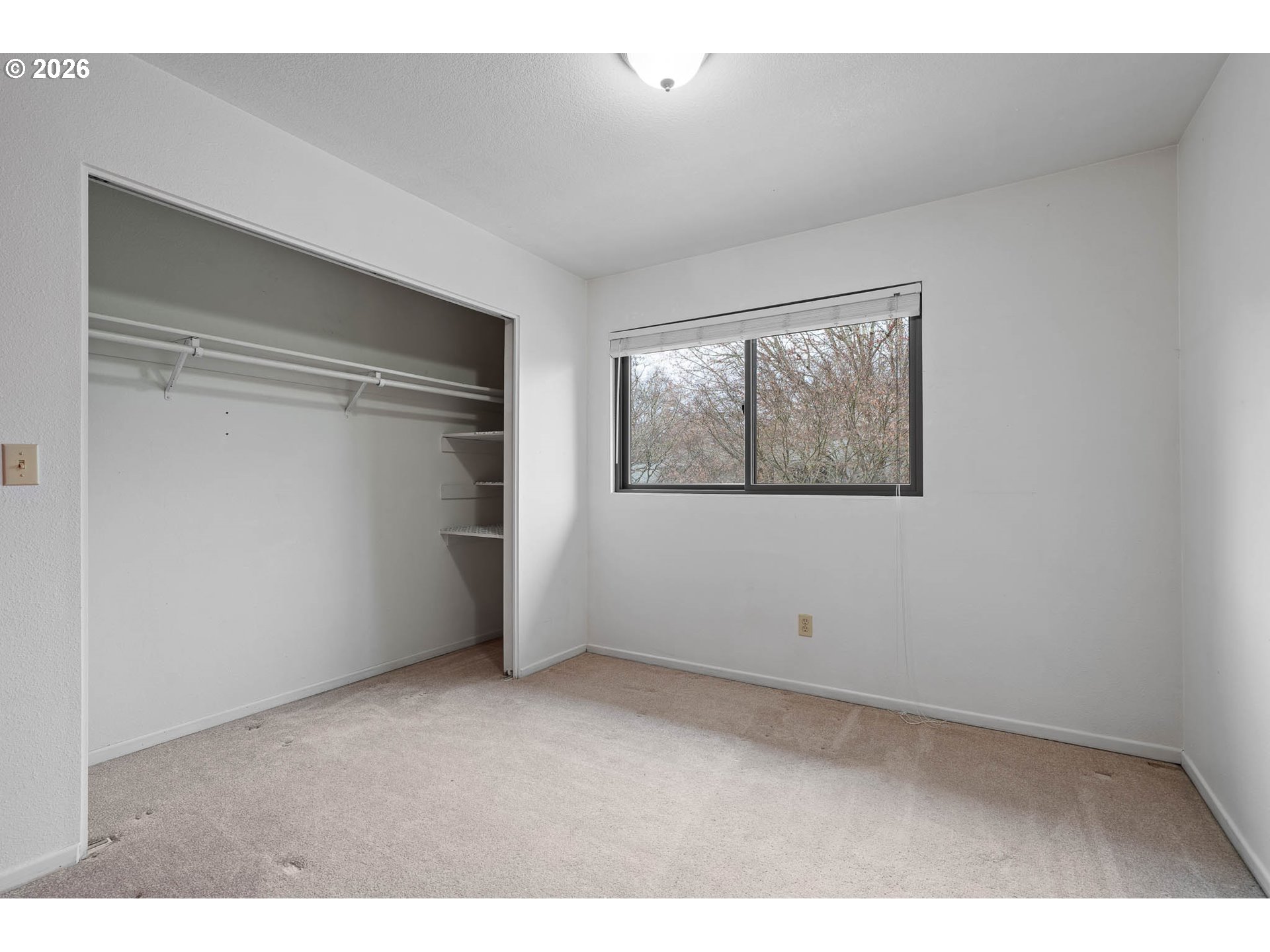 Photo #17: 294916843 Listing: Photo #17