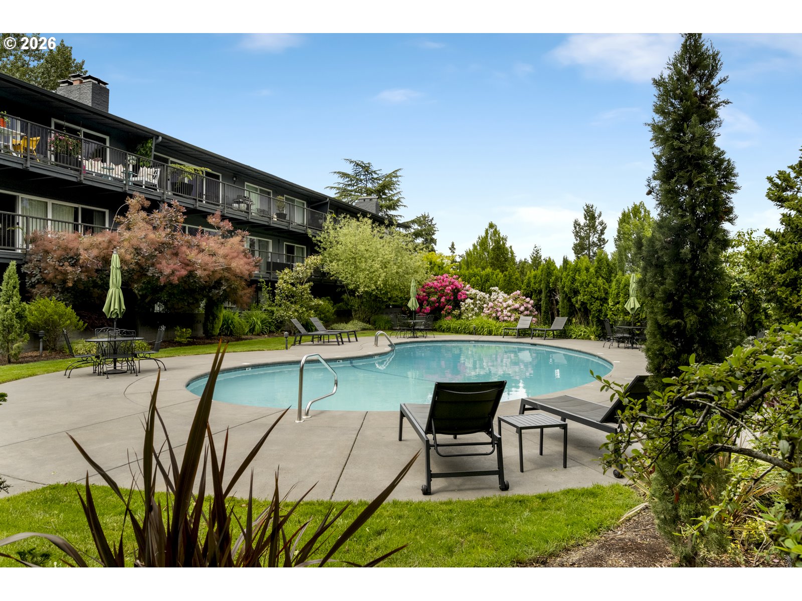 Photo #6: 295993815 Listing: Photo #6