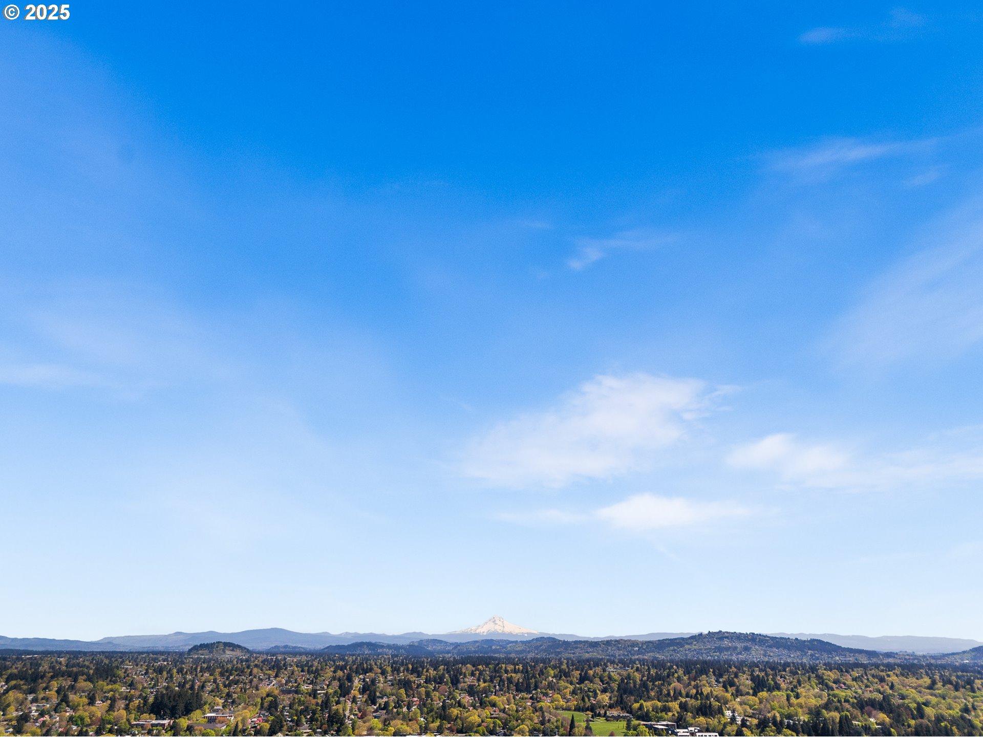 Photo #17: 296318811 Listing: Photo #17