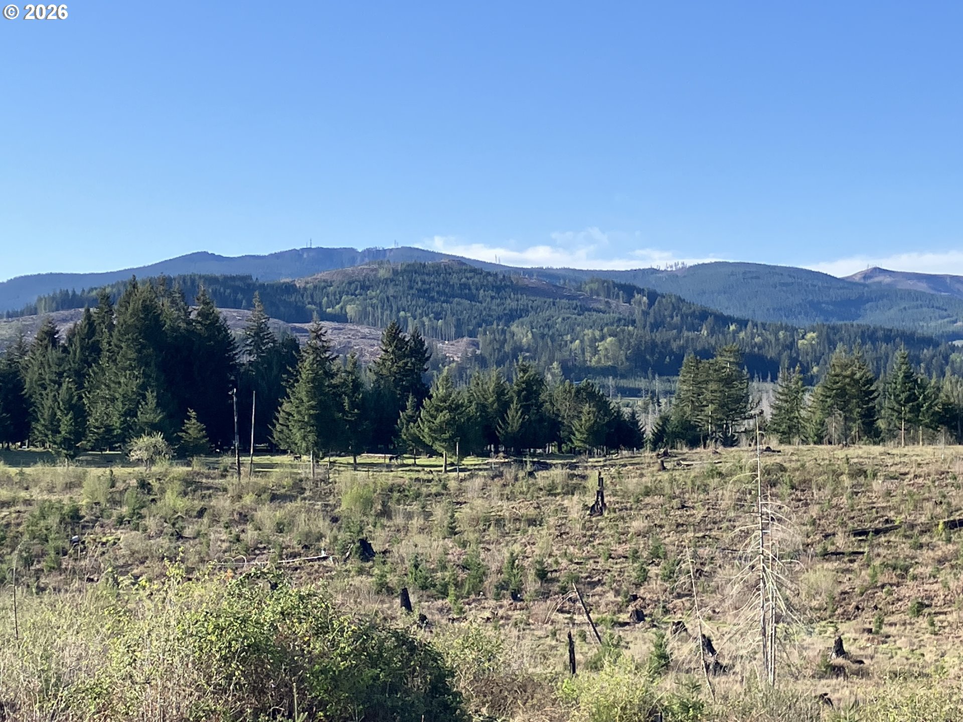 Homes on Acreage