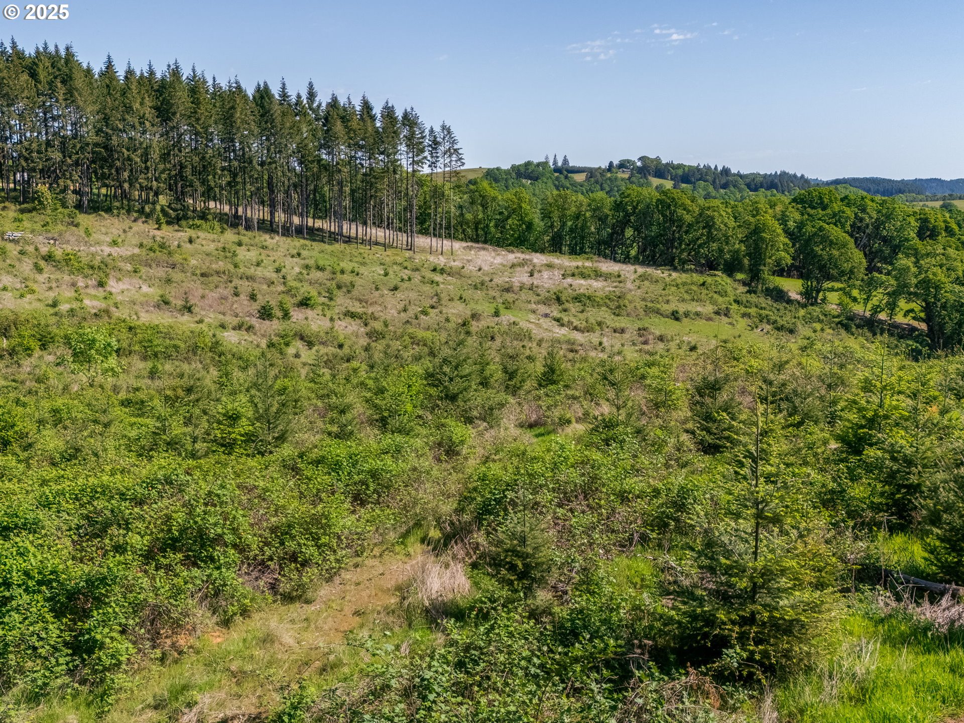 0 Red Hawk LN UNIT 2, Sheridan, OR, 97378