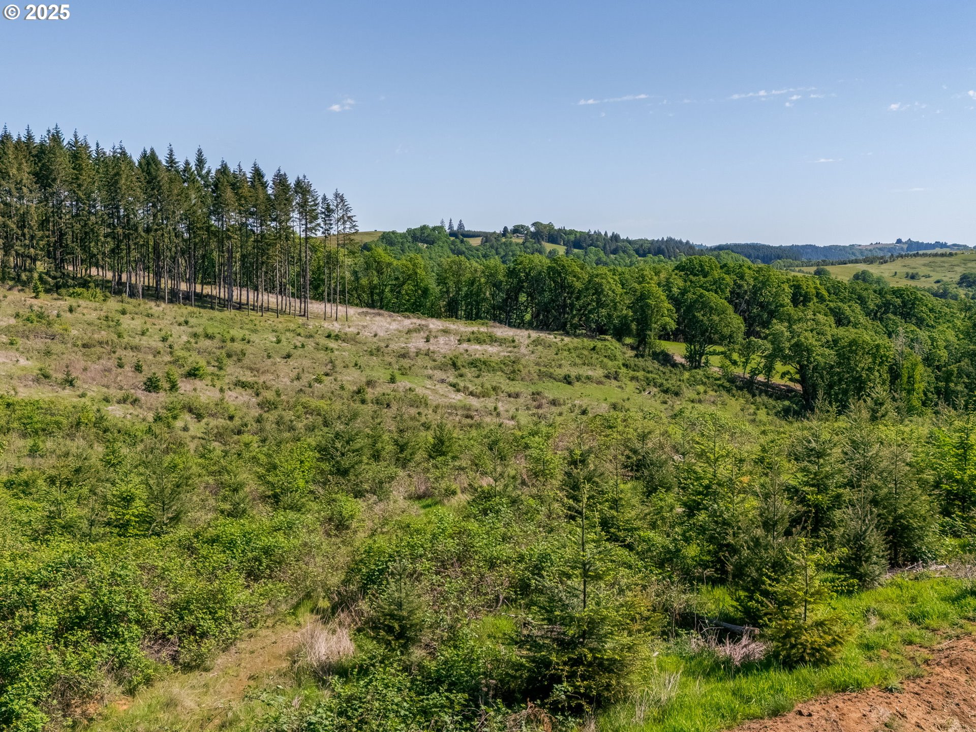 0 Red Hawk LN UNIT 2, Sheridan, OR, 97378