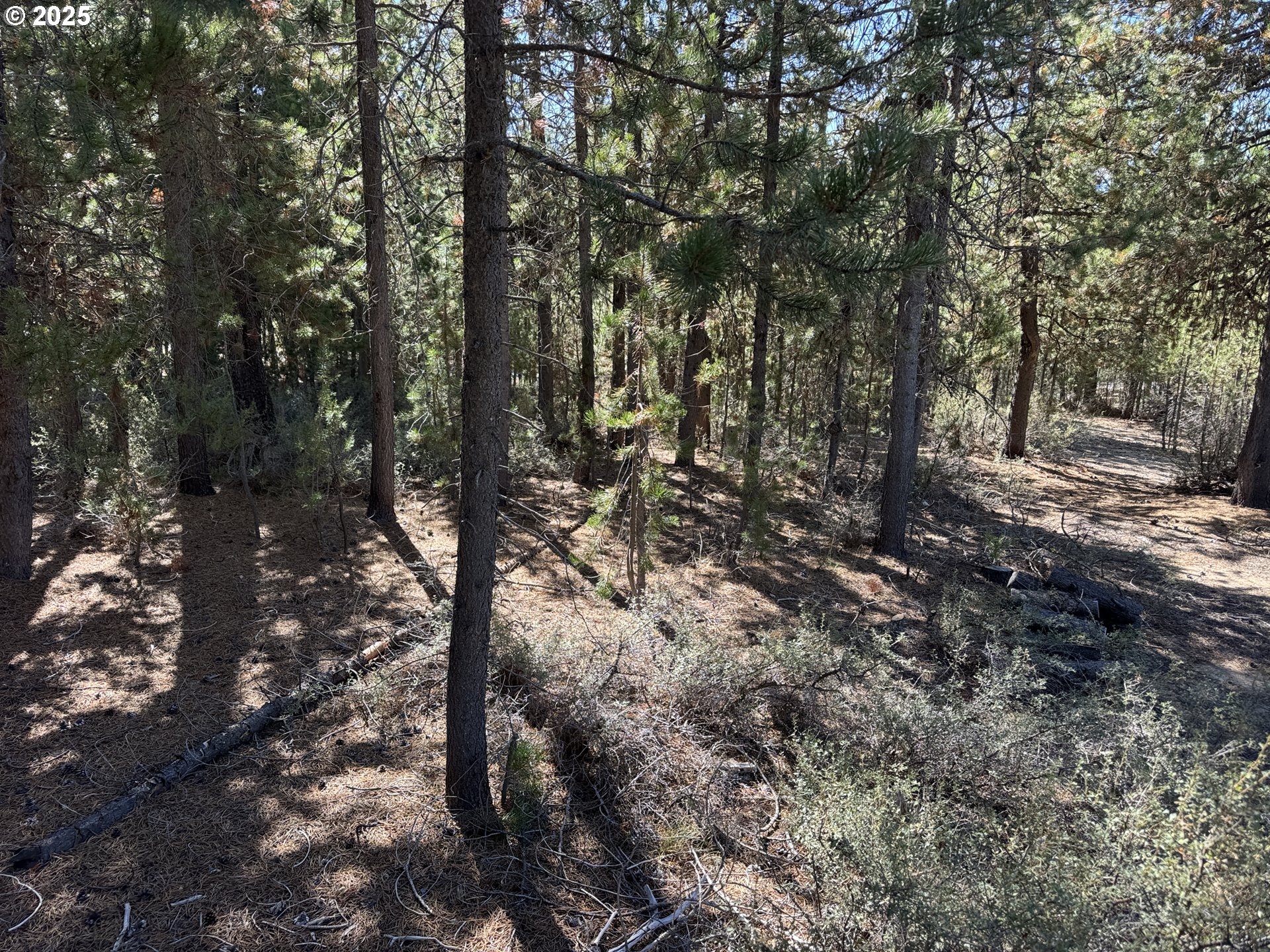 10 Wallace St, Gleneden Beach, OR, 97388