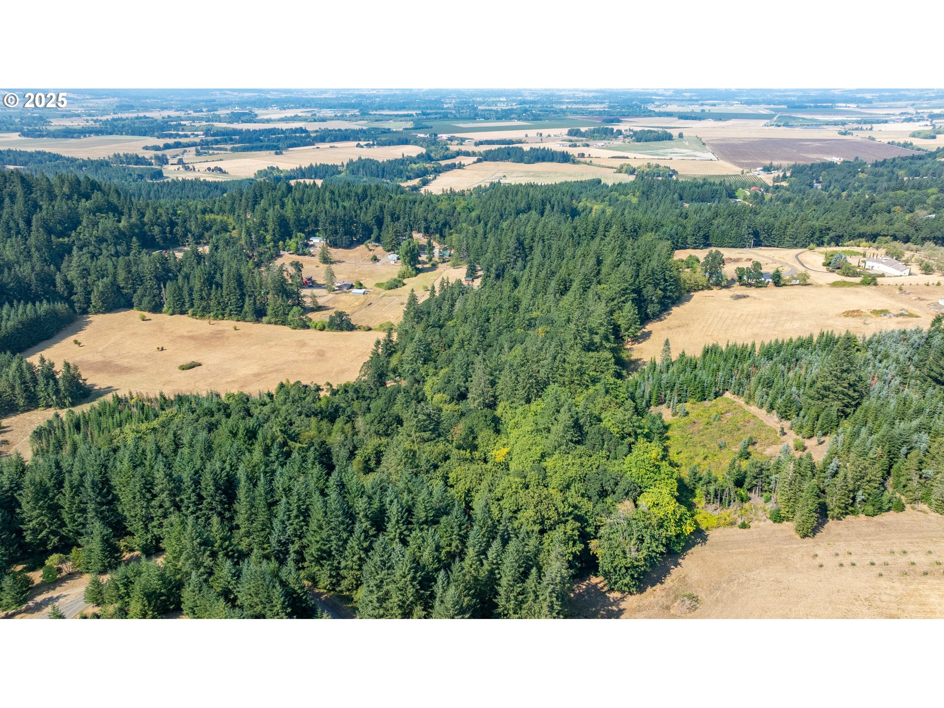 8501 SE THREE TREES LN, Amity, OR, 97101