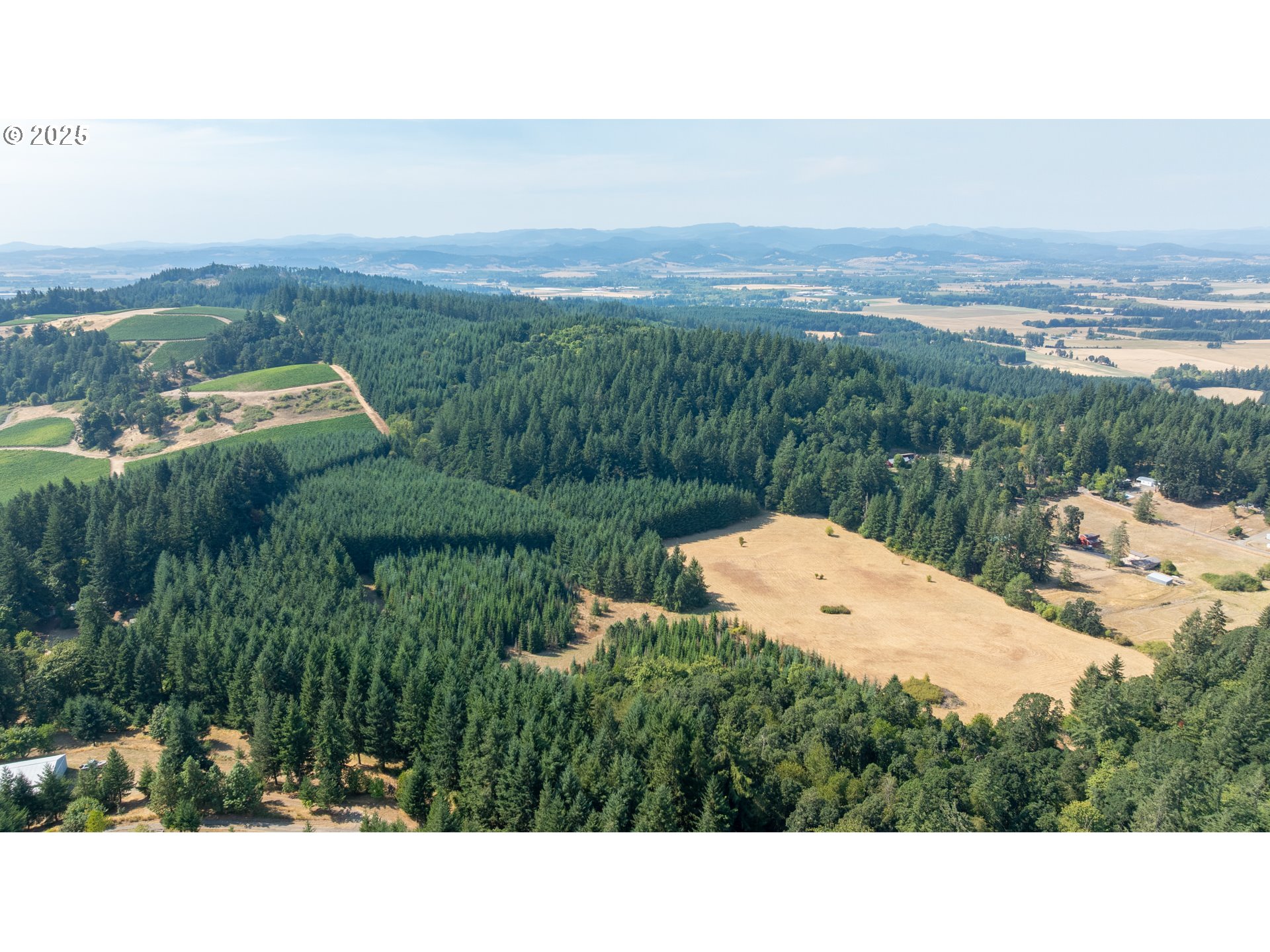 8501 SE THREE TREES LN, Amity, OR, 97101