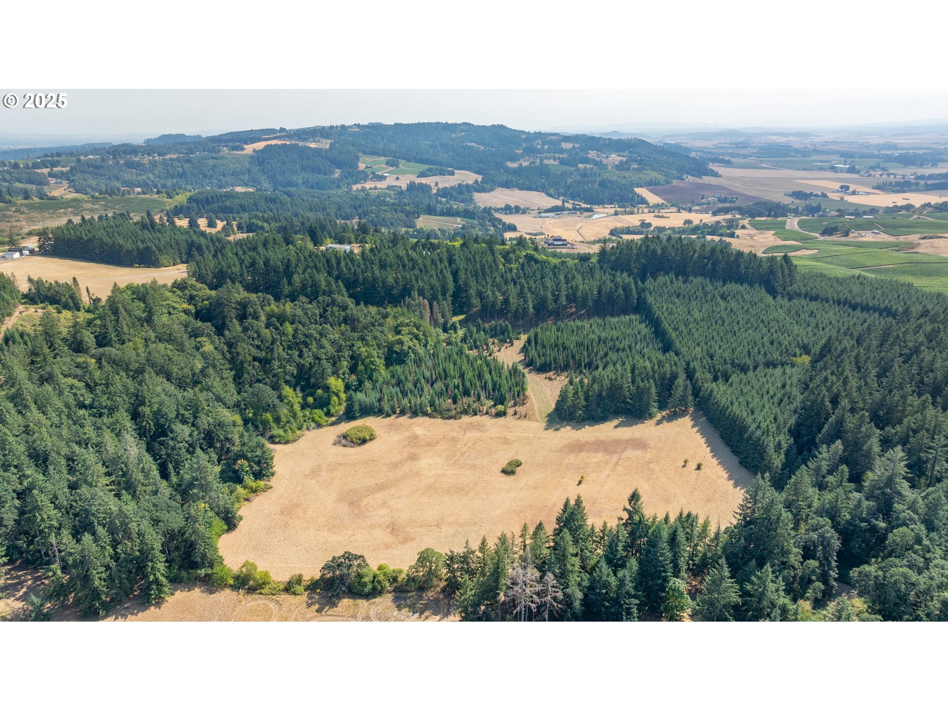 8501 SE THREE TREES LN, Amity, OR, 97101