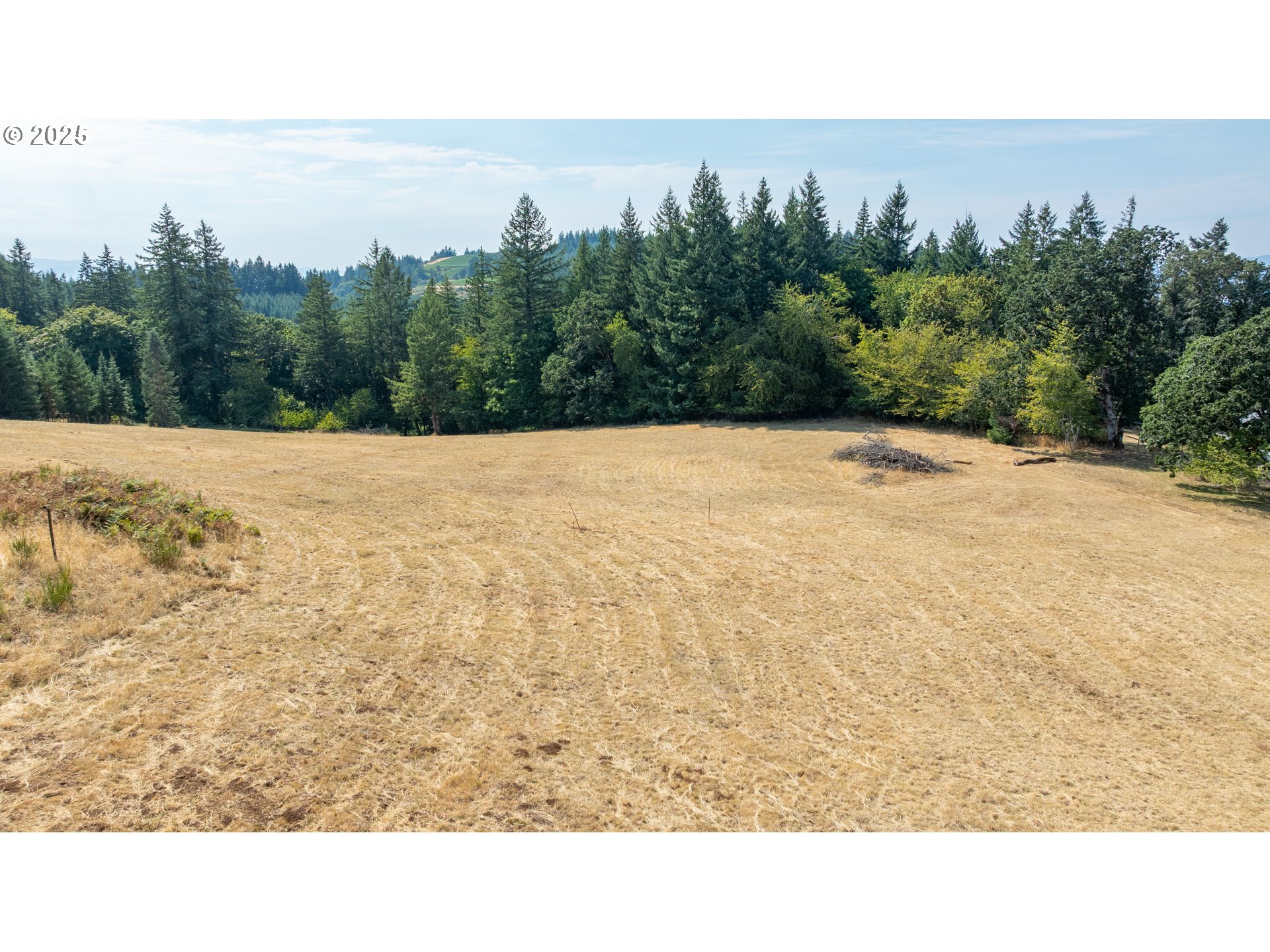 8501 SE THREE TREES LN, Amity, OR, 97101