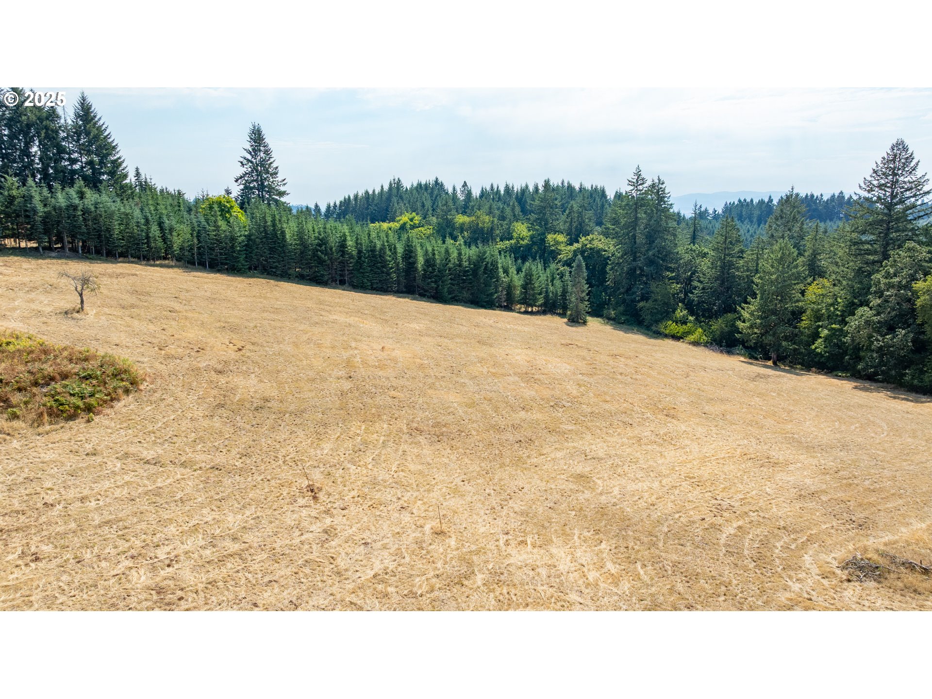 8501 SE THREE TREES LN, Amity, OR, 97101