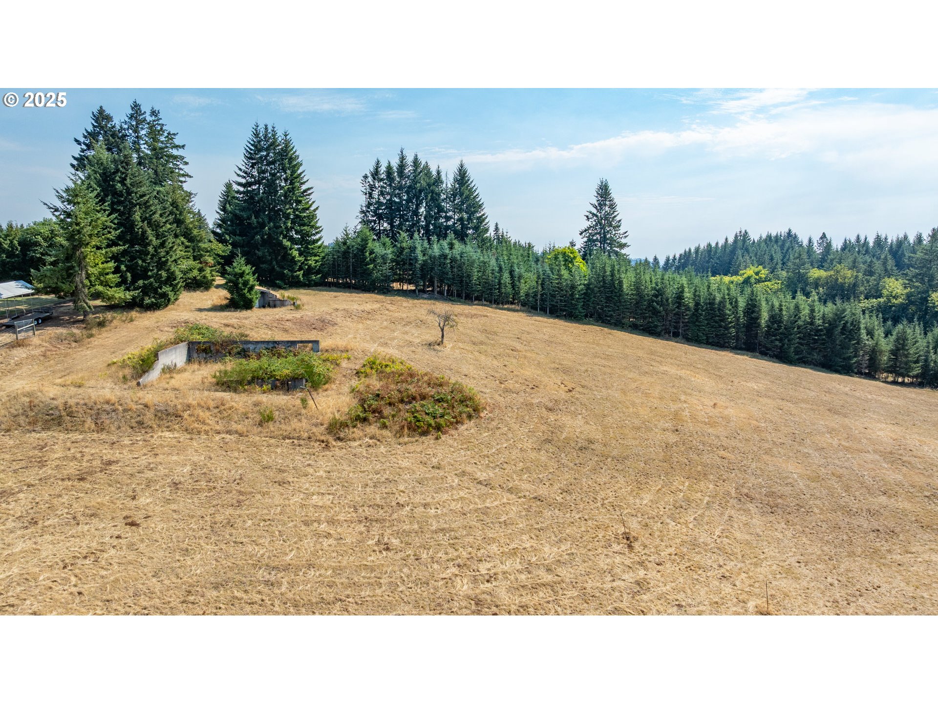 8501 SE THREE TREES LN, Amity, OR, 97101