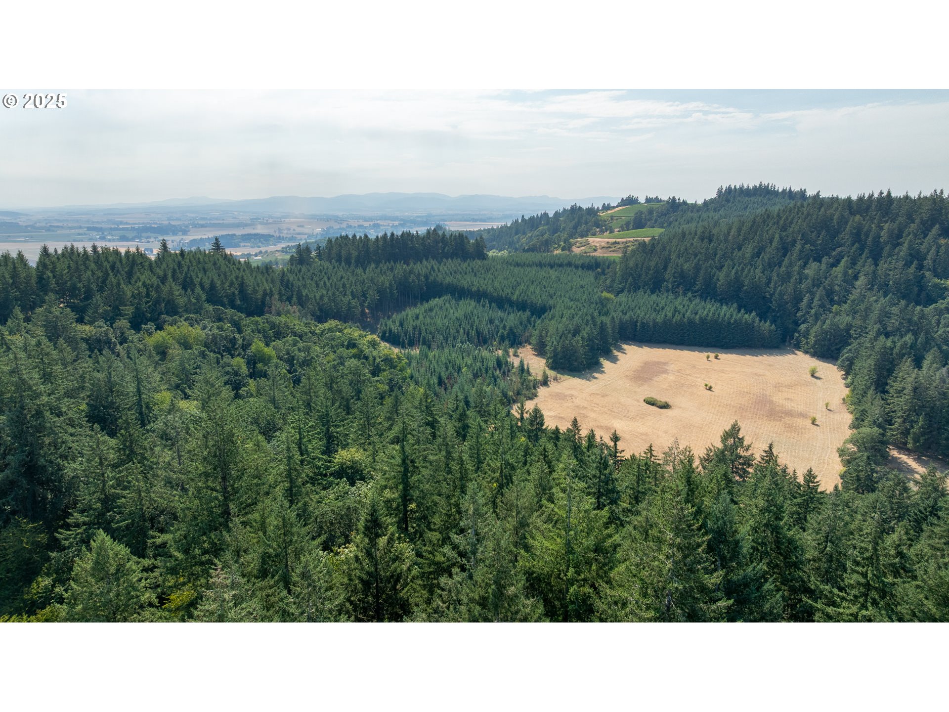 8501 SE THREE TREES LN, Amity, OR, 97101