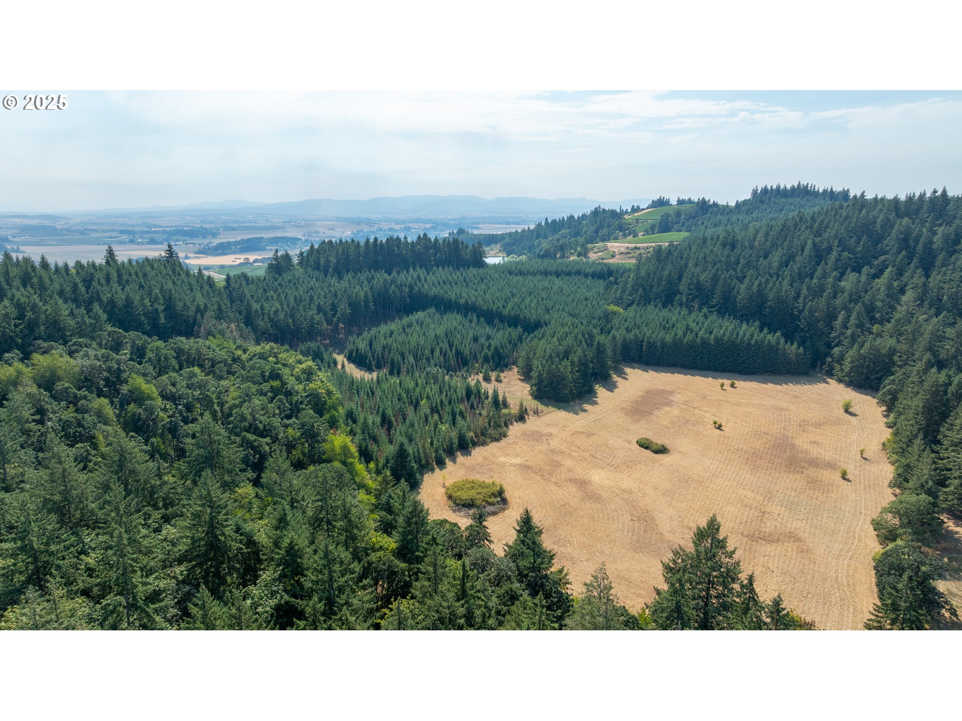 8501 SE THREE TREES LN, Amity, OR, 97101