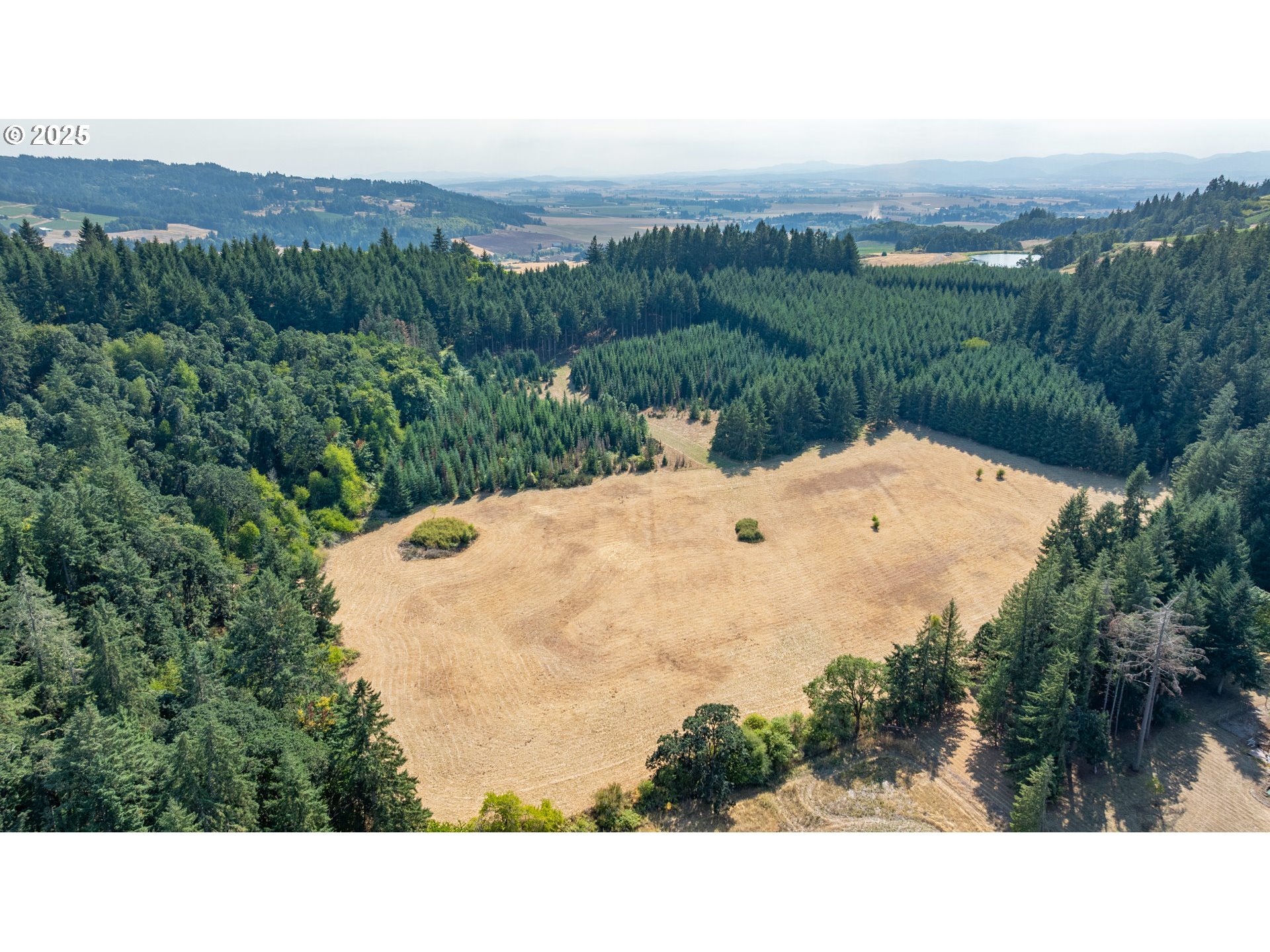 8501 SE THREE TREES LN, Amity, OR, 97101
