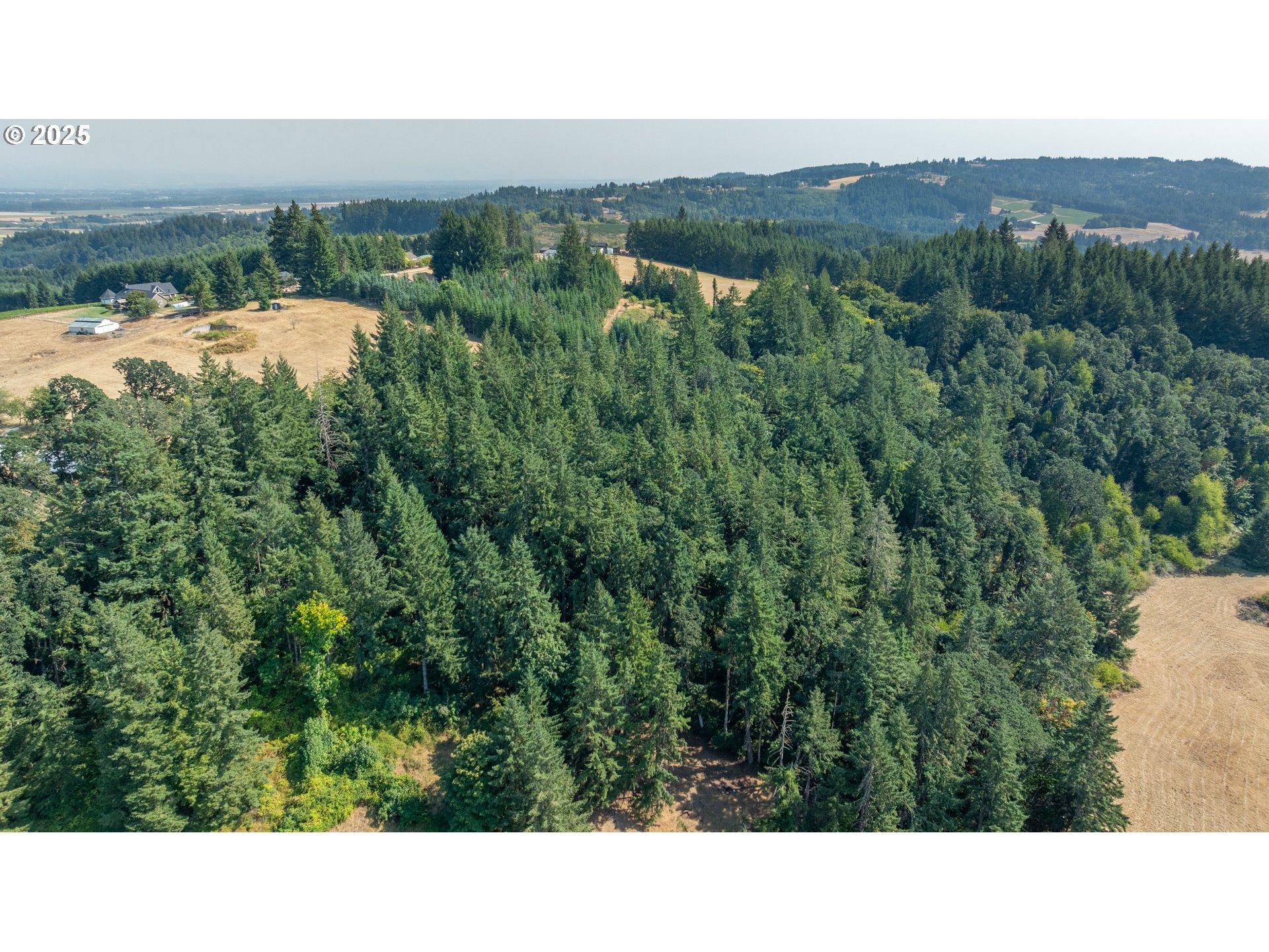 8501 SE THREE TREES LN, Amity, OR, 97101
