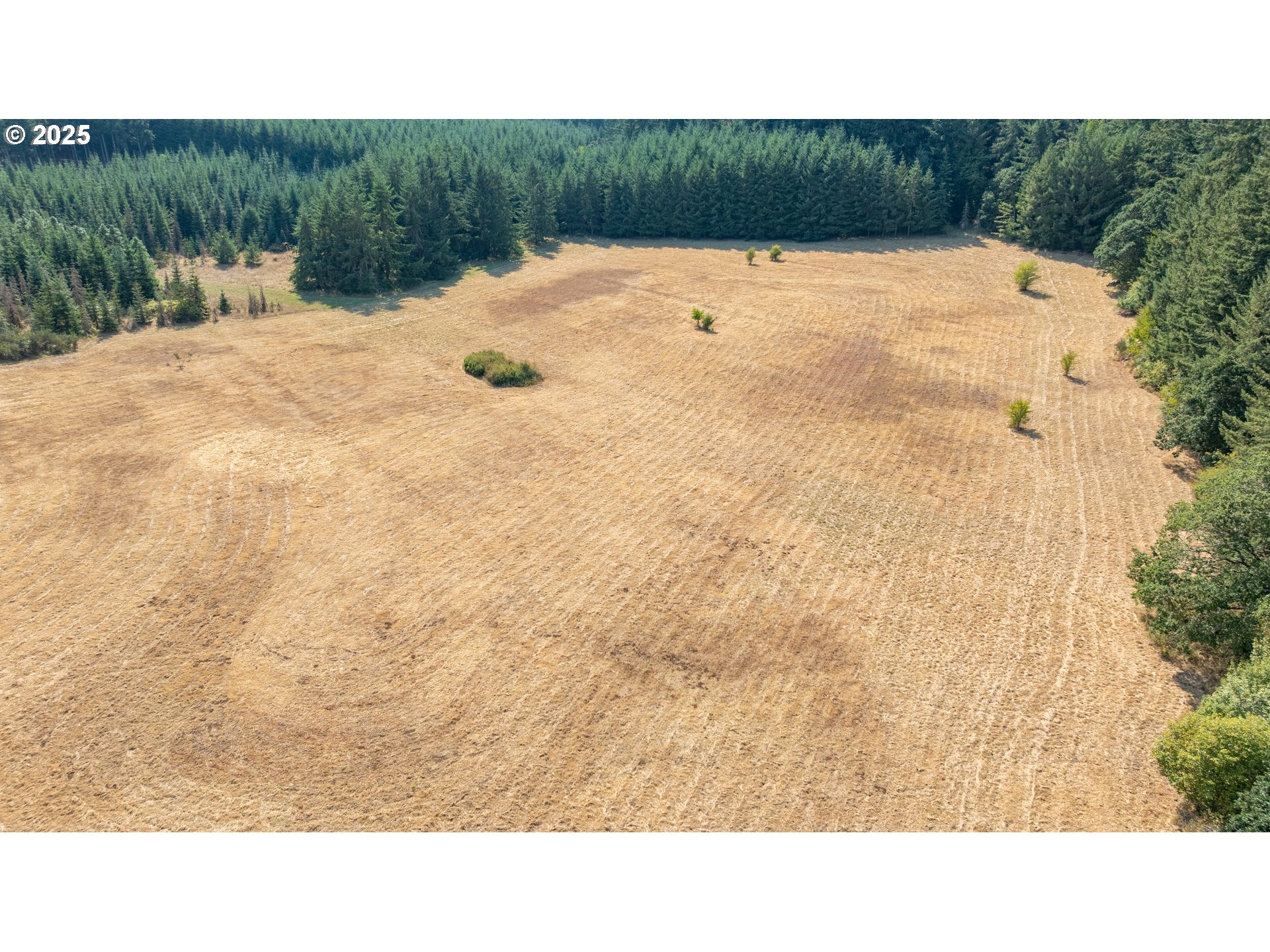 8501 SE THREE TREES LN, Amity, OR, 97101