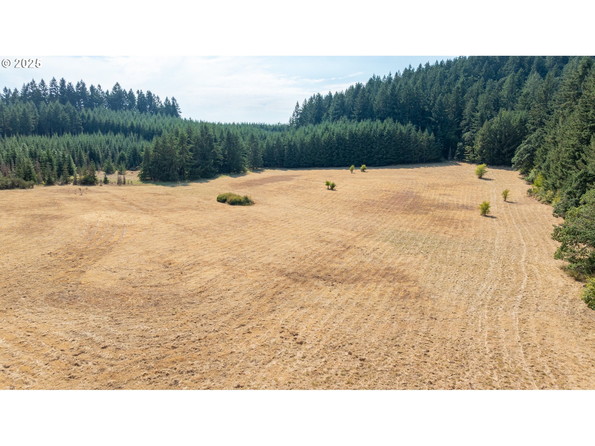 8501 SE THREE TREES LN, Amity, OR, 97101