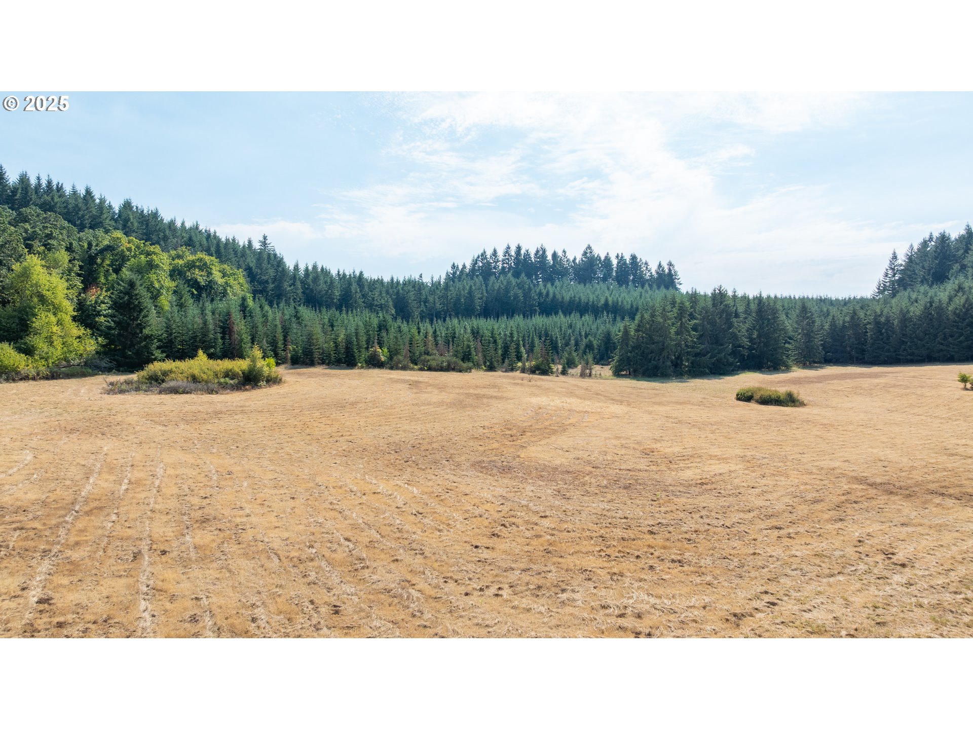 8501 SE THREE TREES LN, Amity, OR, 97101