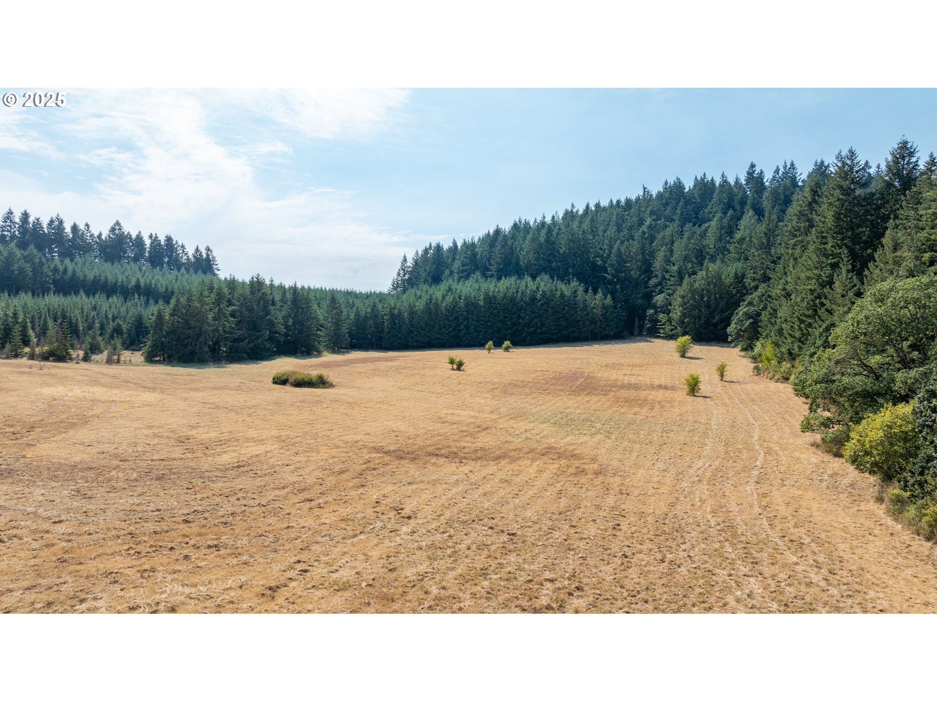 8501 SE THREE TREES LN, Amity, OR, 97101
