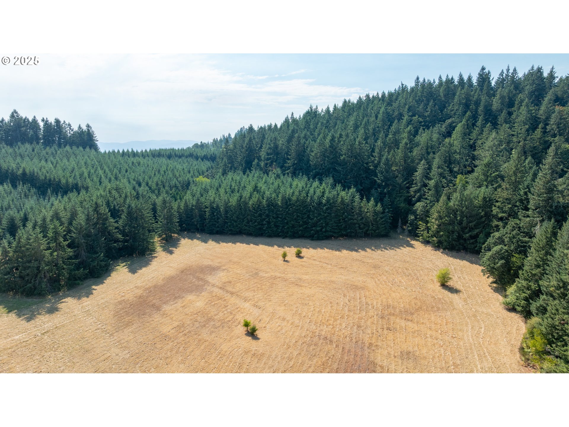 8501 SE THREE TREES LN, Amity, OR, 97101