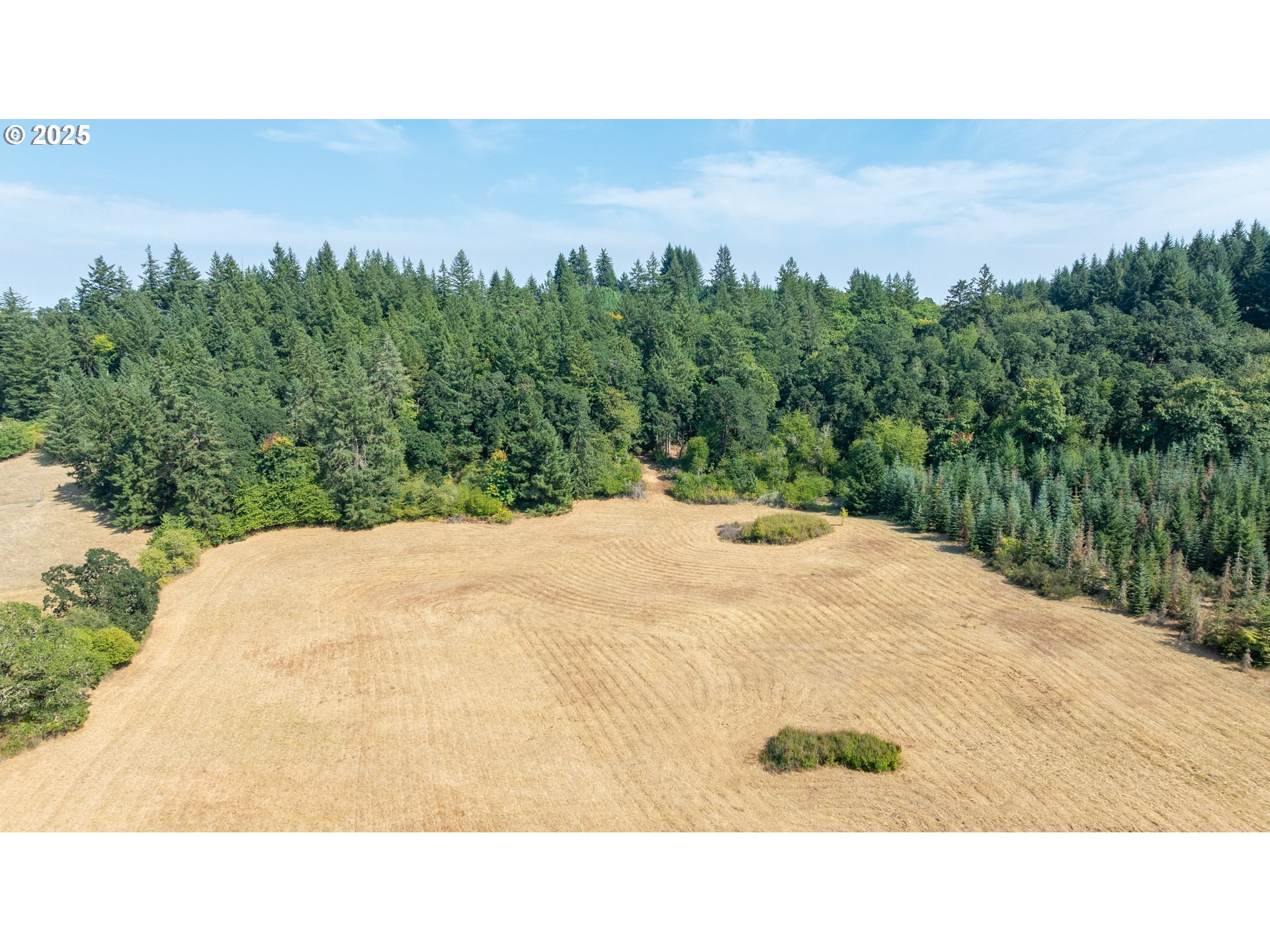 8501 SE THREE TREES LN, Amity, OR, 97101