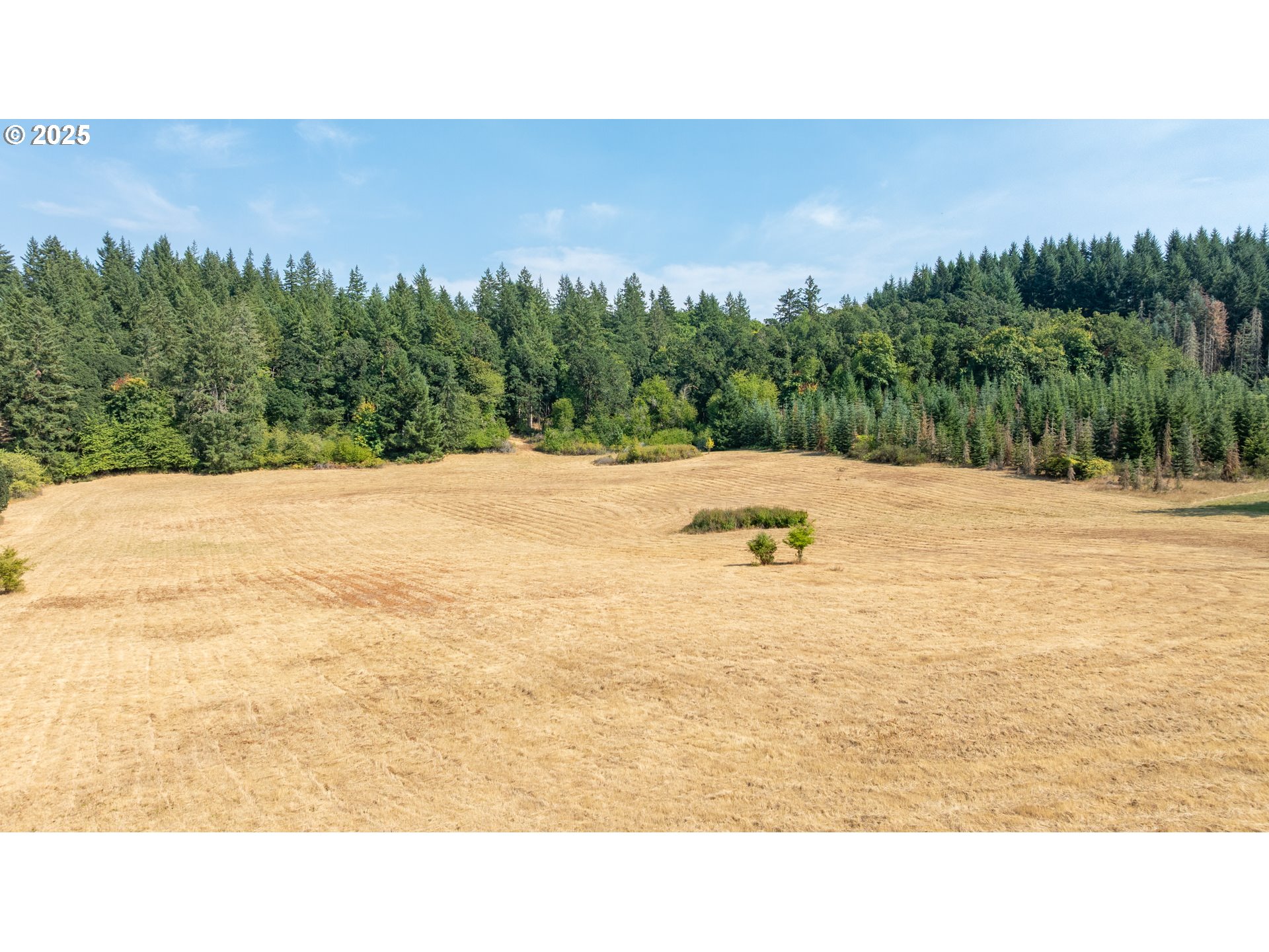 8501 SE THREE TREES LN, Amity, OR, 97101