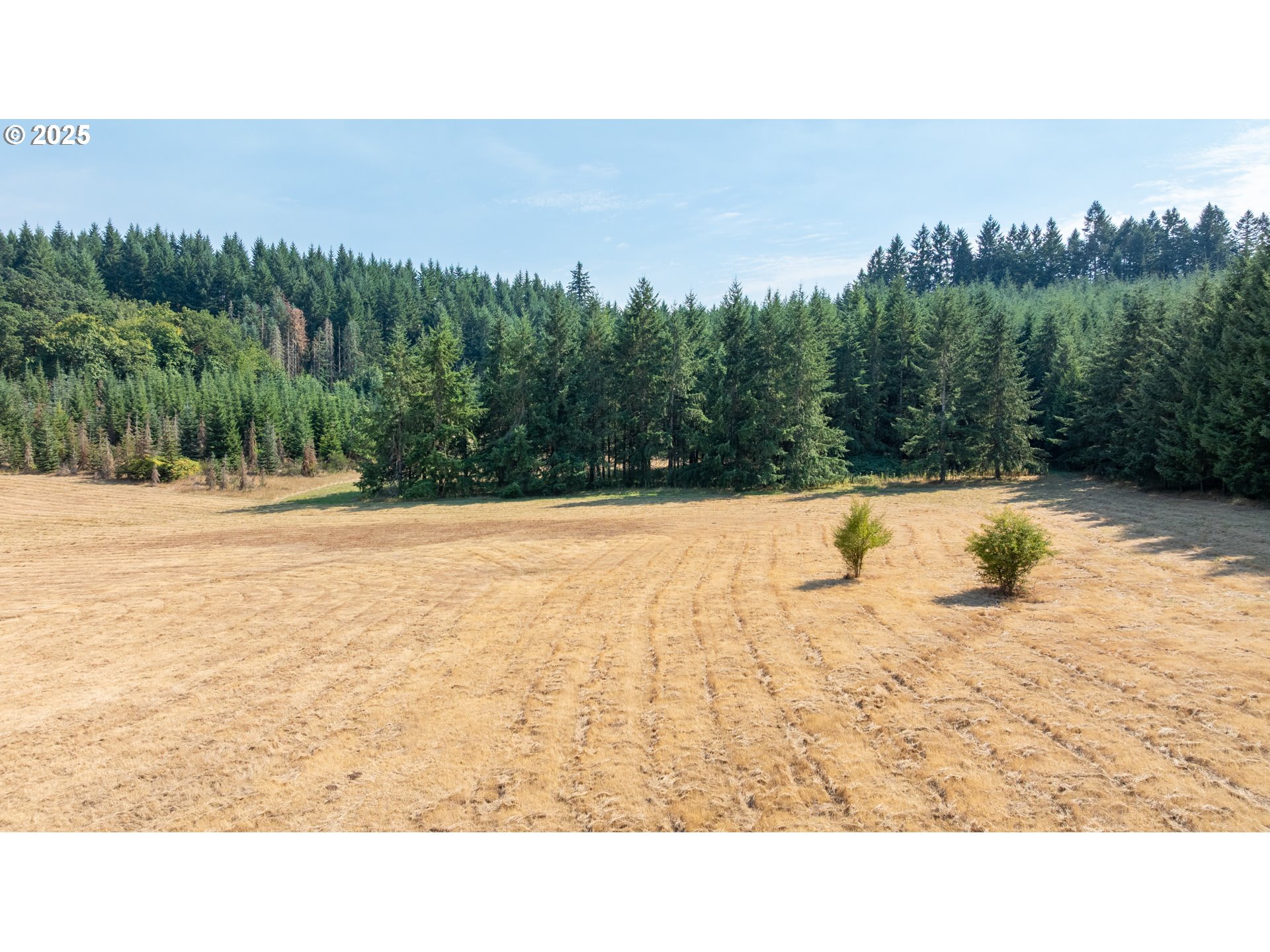8501 SE THREE TREES LN, Amity, OR, 97101