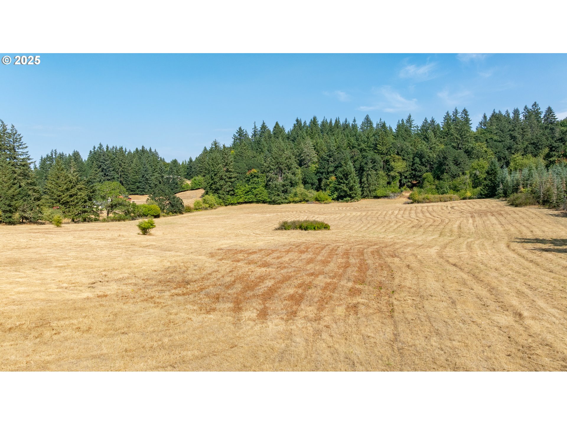 8501 SE THREE TREES LN, Amity, OR, 97101