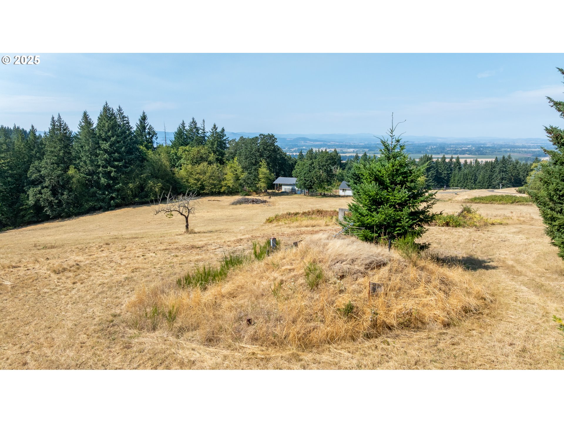8501 SE THREE TREES LN, Amity, OR, 97101