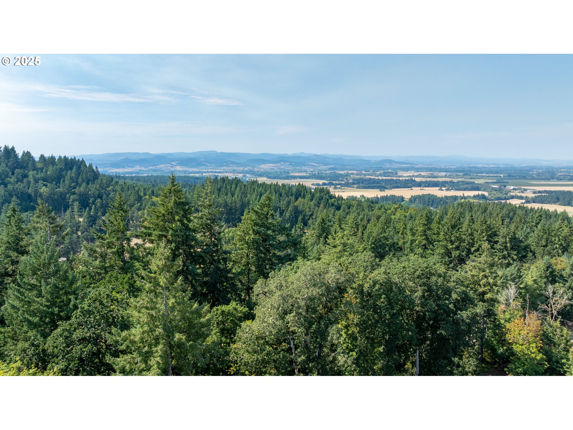 8501 SE THREE TREES LN, Amity, OR, 97101
