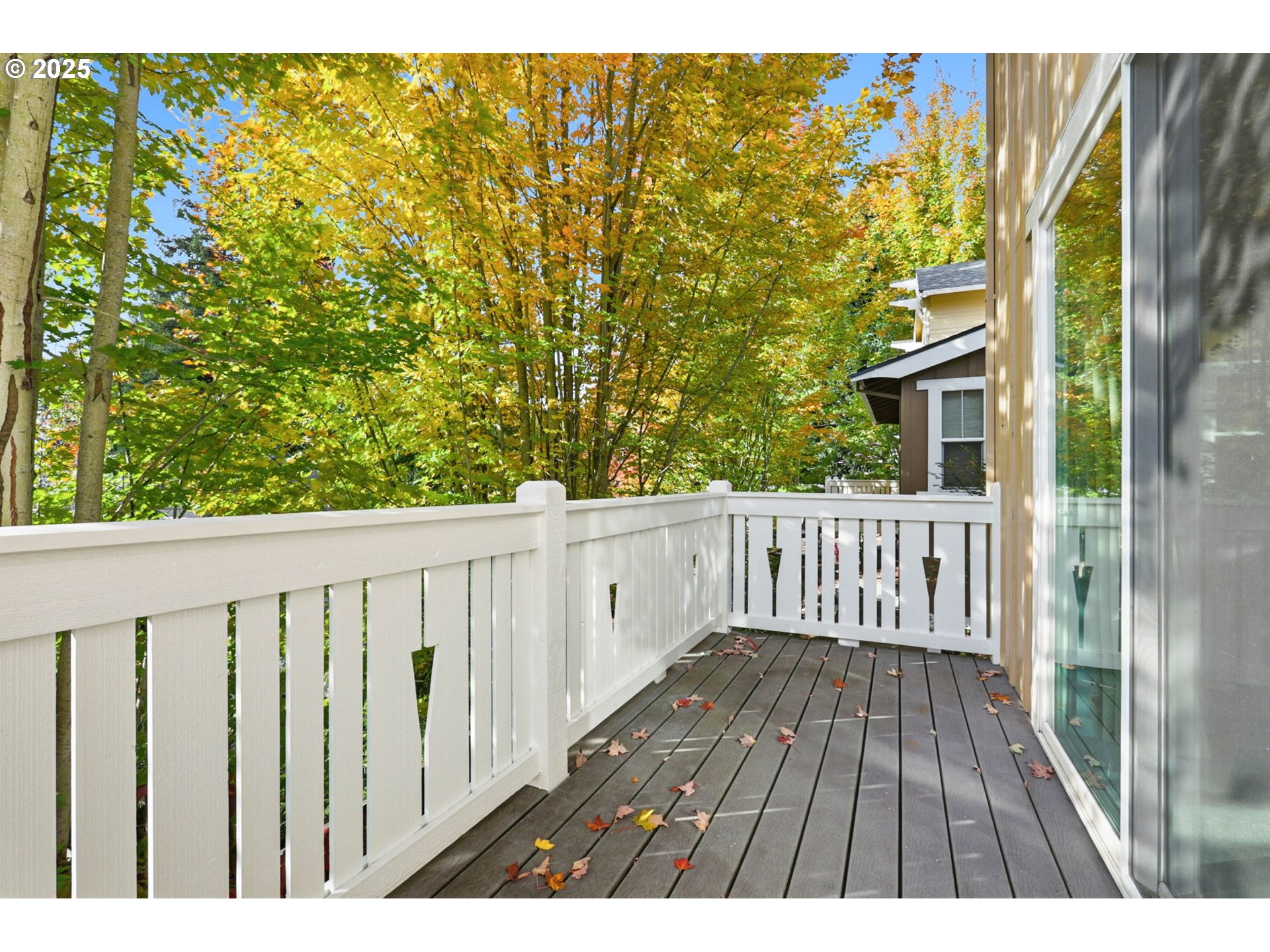 Photo #24: 300080082 Listing: Photo #24