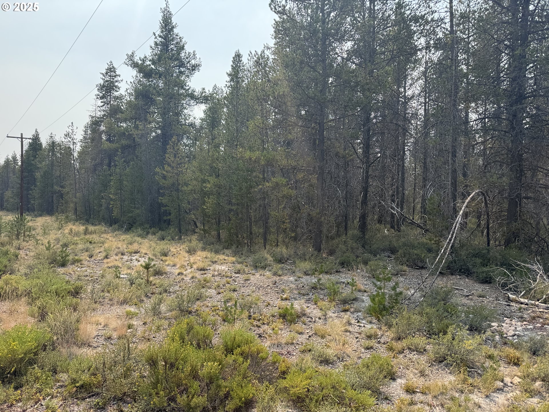 Search Homes for Sale