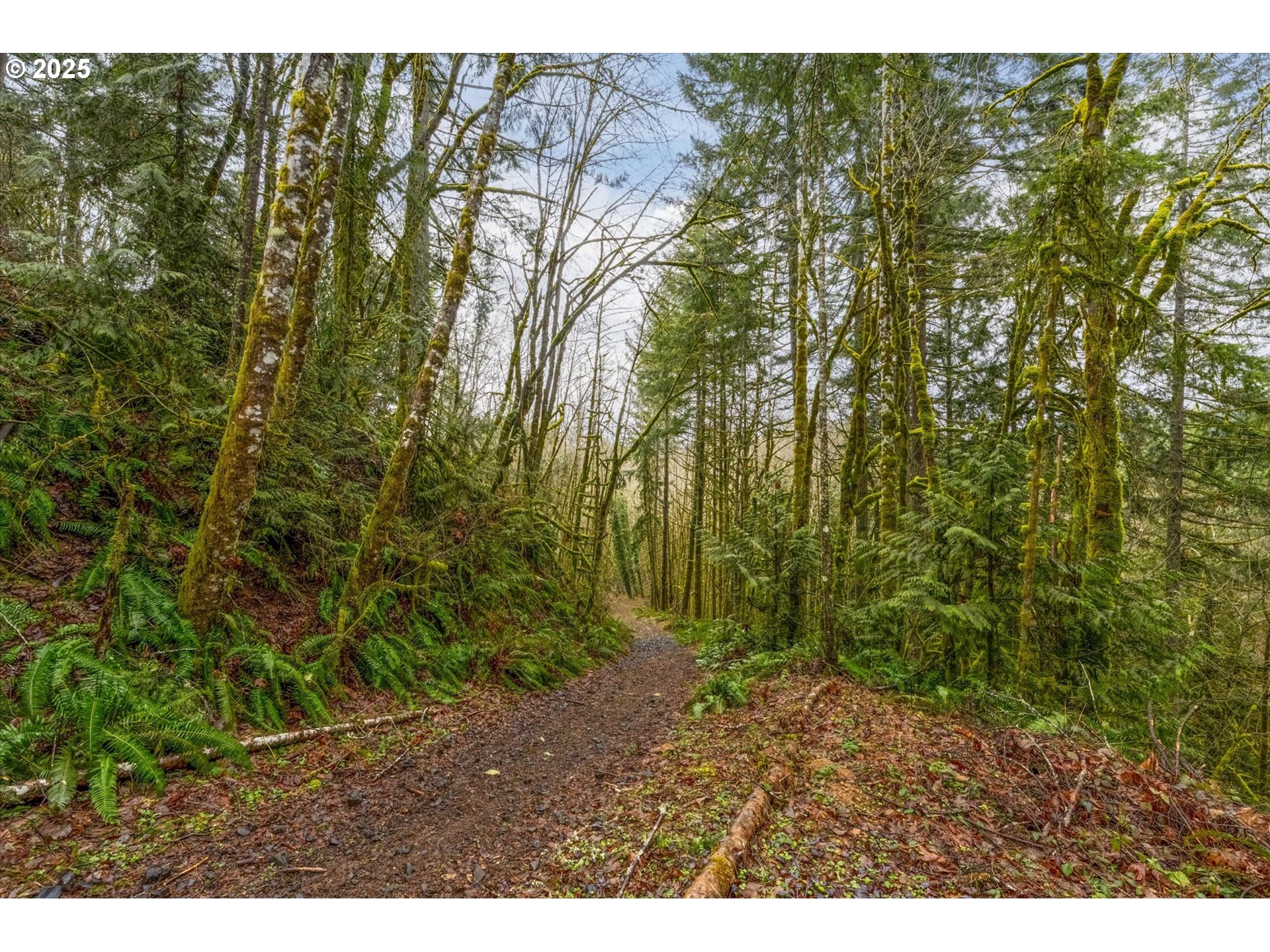 113 GARDEN LN, Winlock, WA, 98596