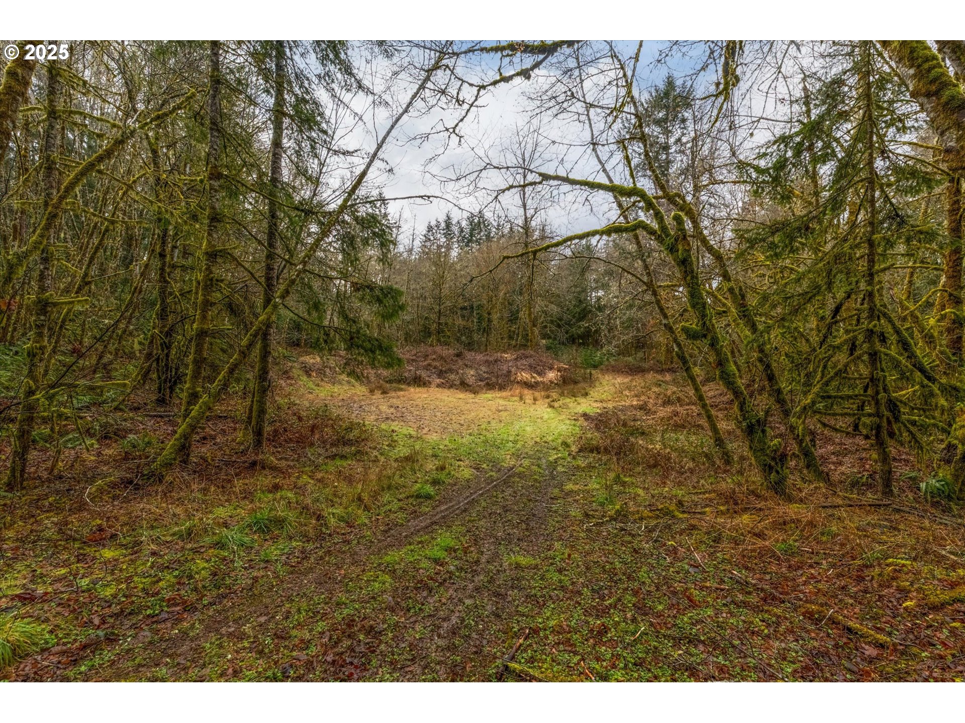 113 GARDEN LN, Winlock, WA, 98596