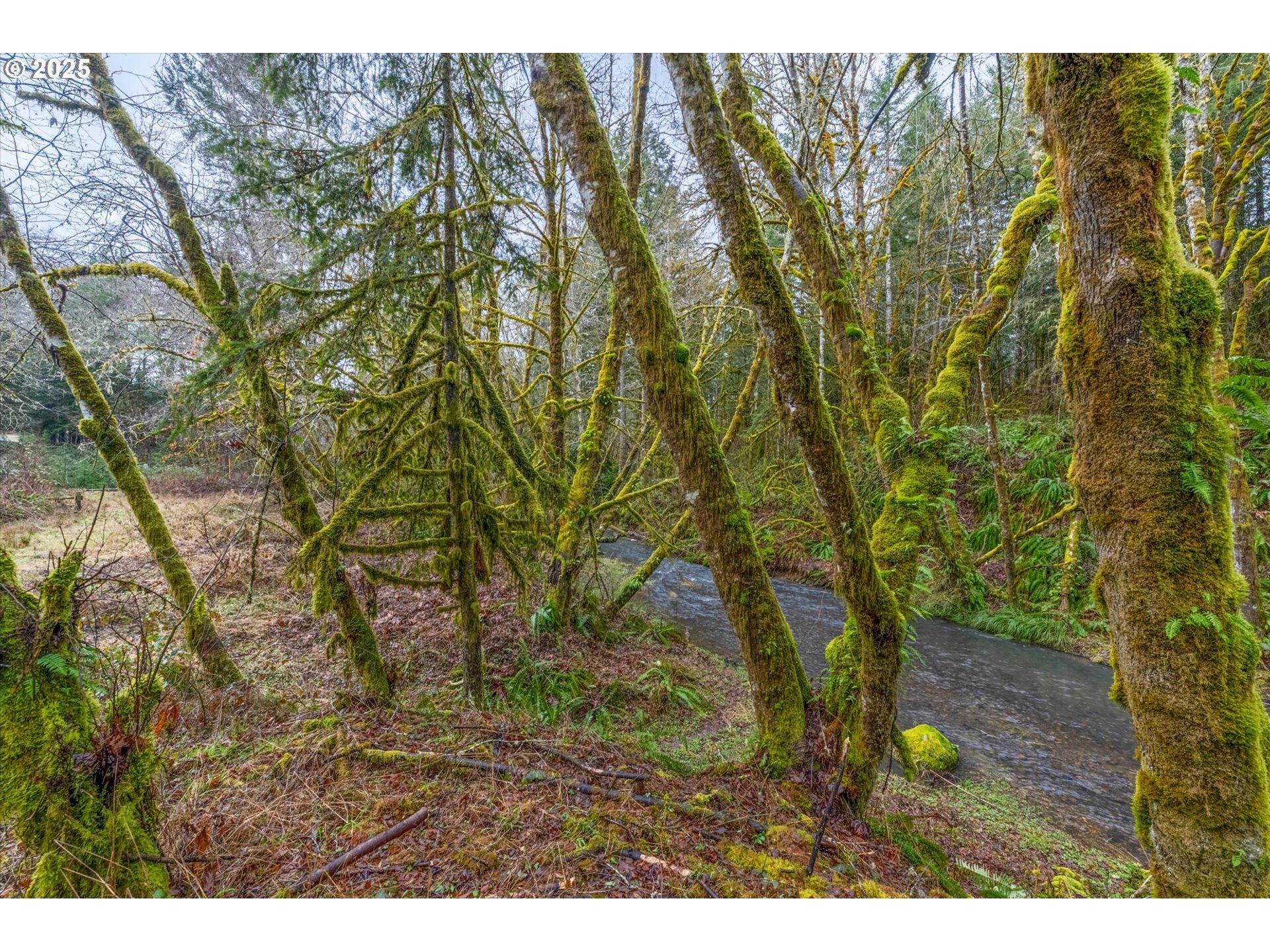 113 GARDEN LN, Winlock, WA, 98596