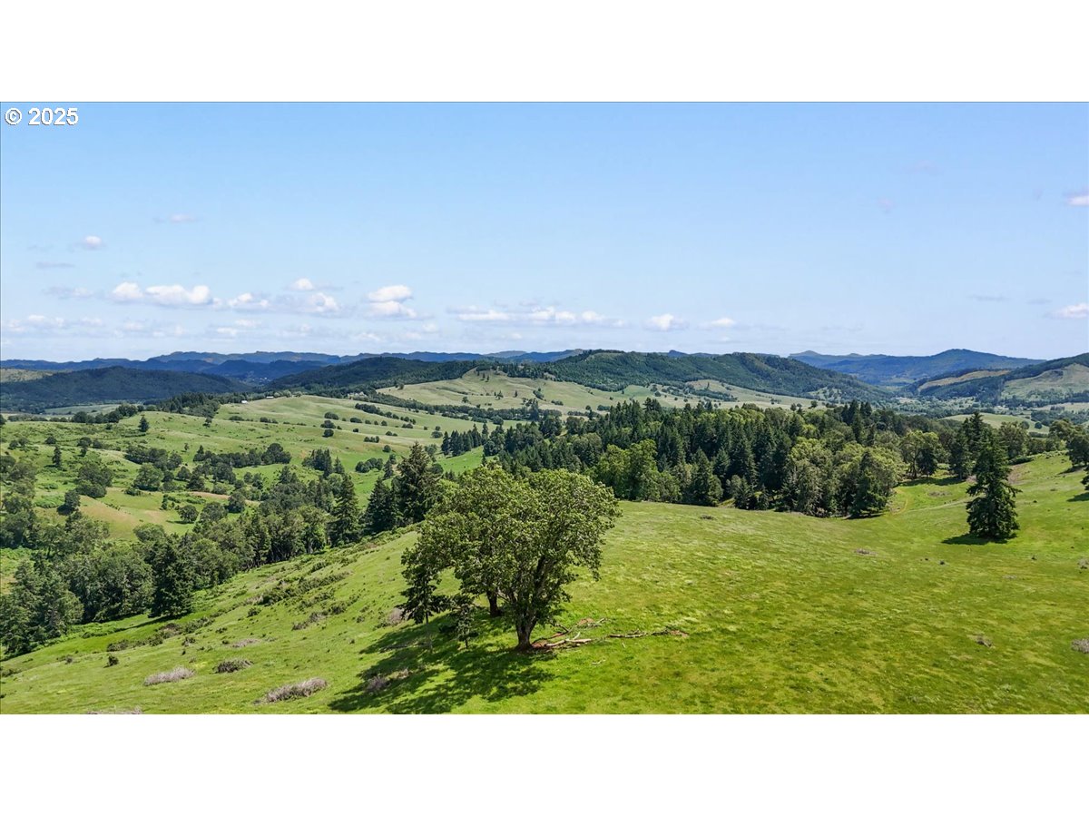 331 METZ HILL RD, Oakland, OR, 97462