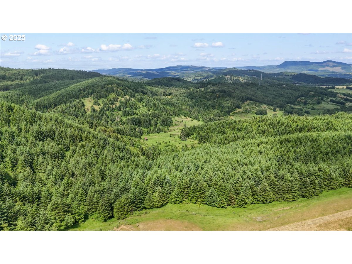 331 METZ HILL RD, Oakland, OR, 97462