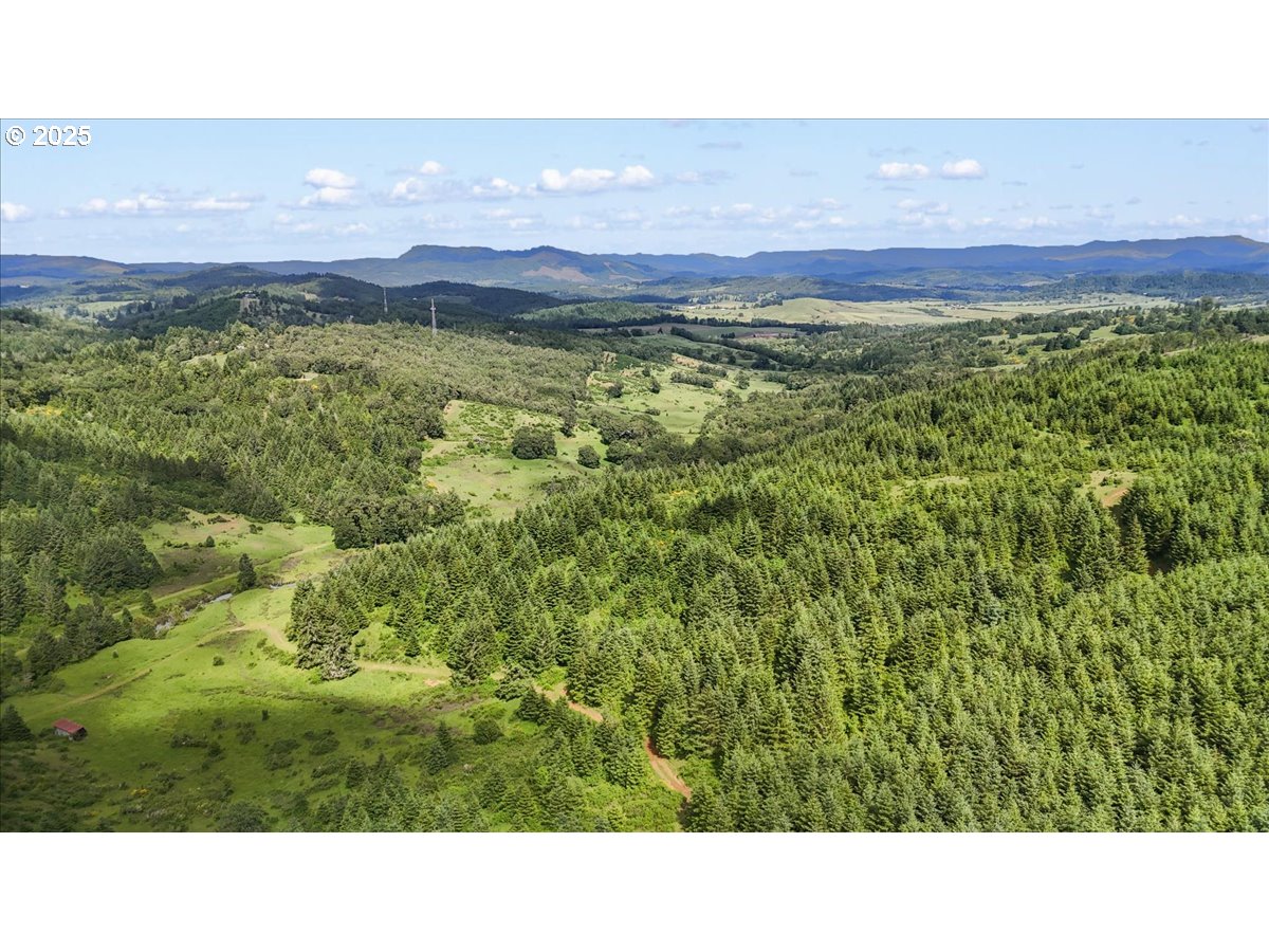 331 METZ HILL RD, Oakland, OR, 97462
